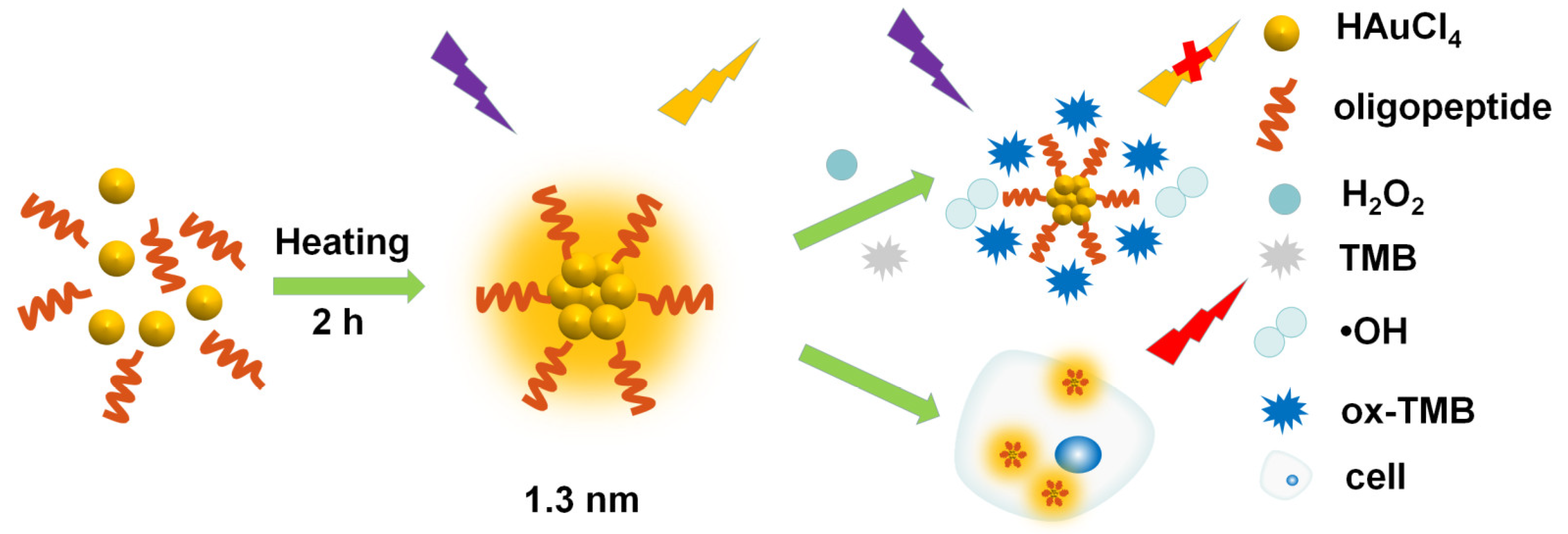 Molecules 28 00070 sch001 Molecules 28 00070 sch001