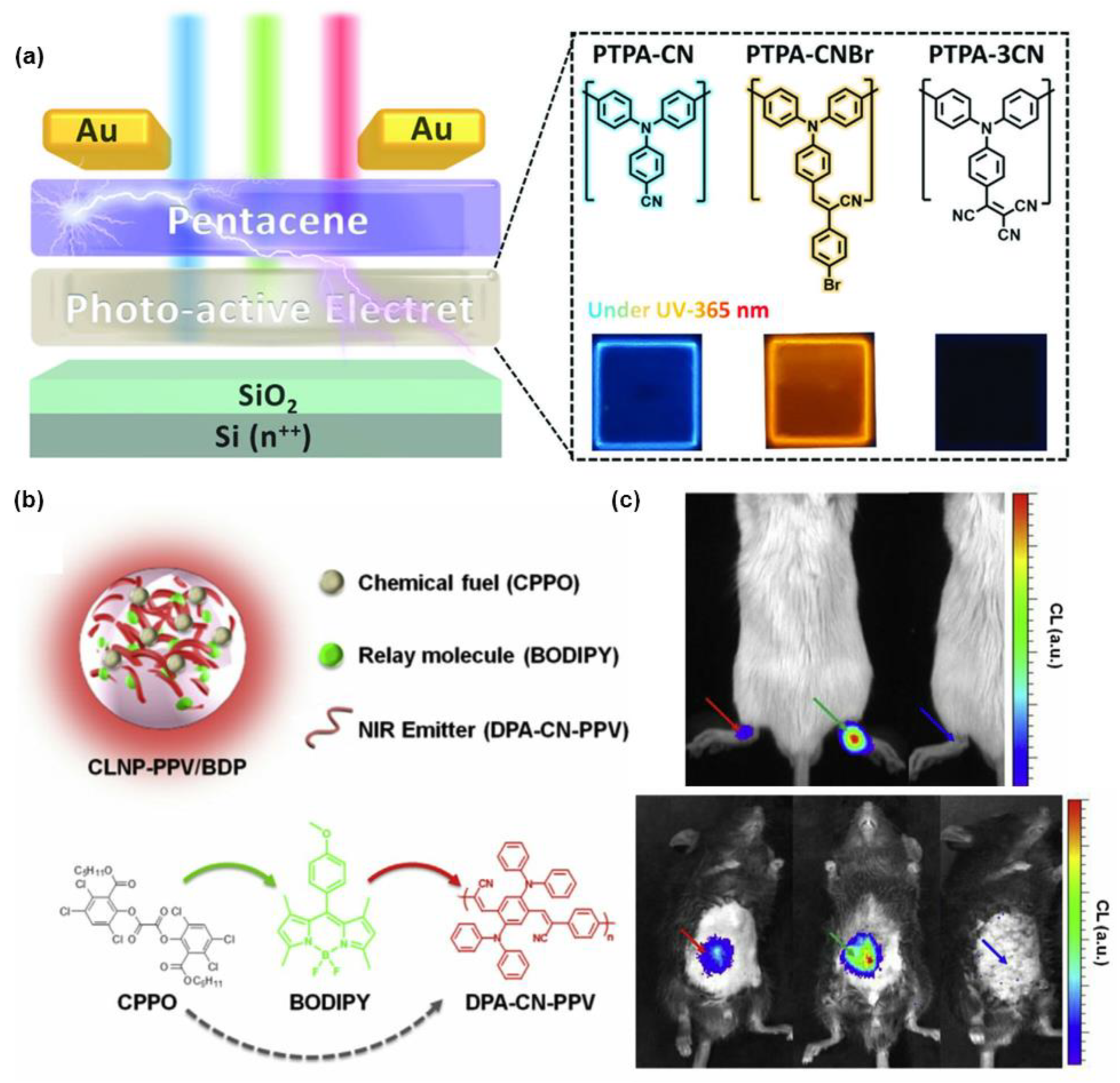 Molecules 28 00078 g006 Molecules 28 00078 g006