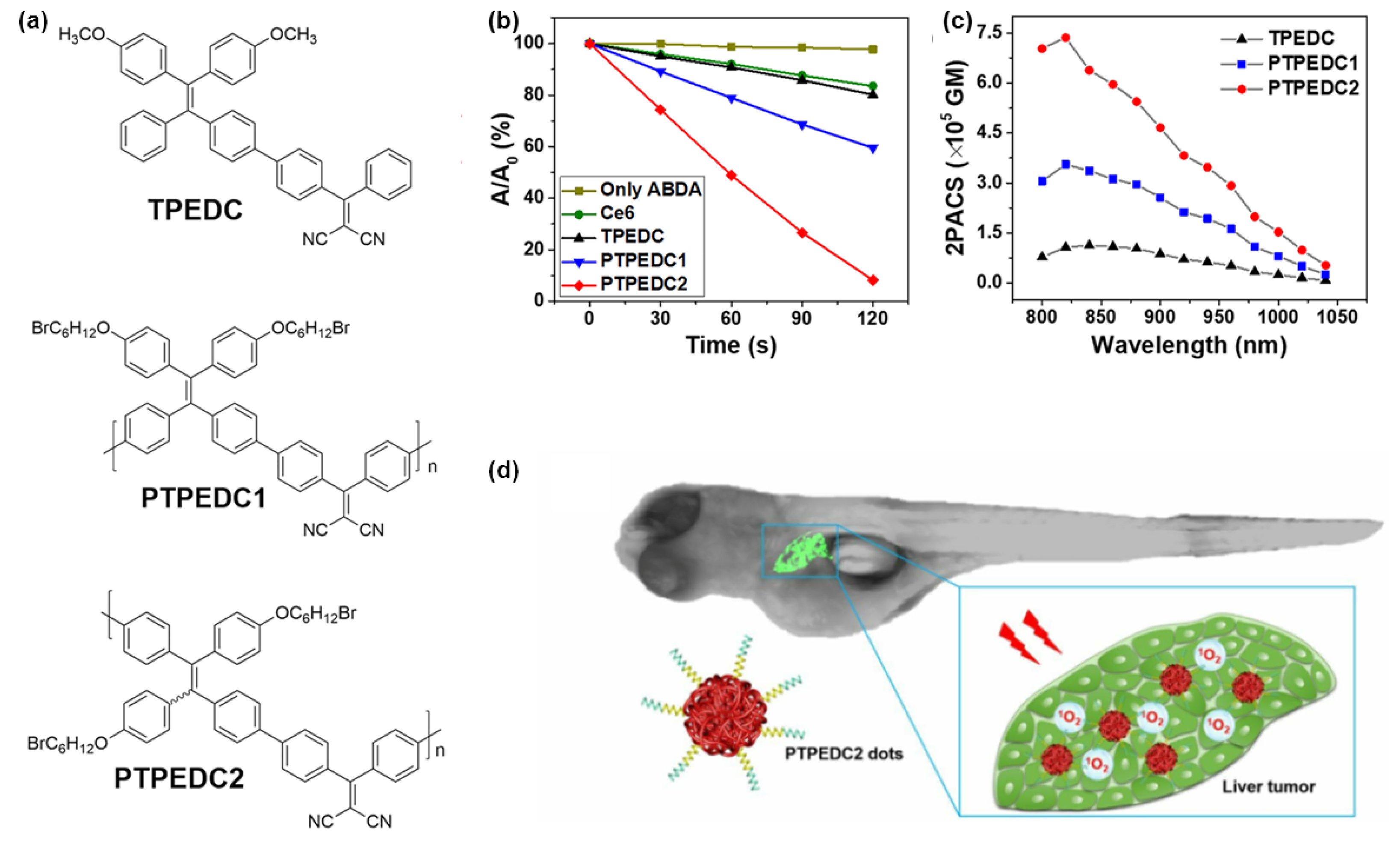 Molecules 28 00078 g010 Molecules 28 00078 g010