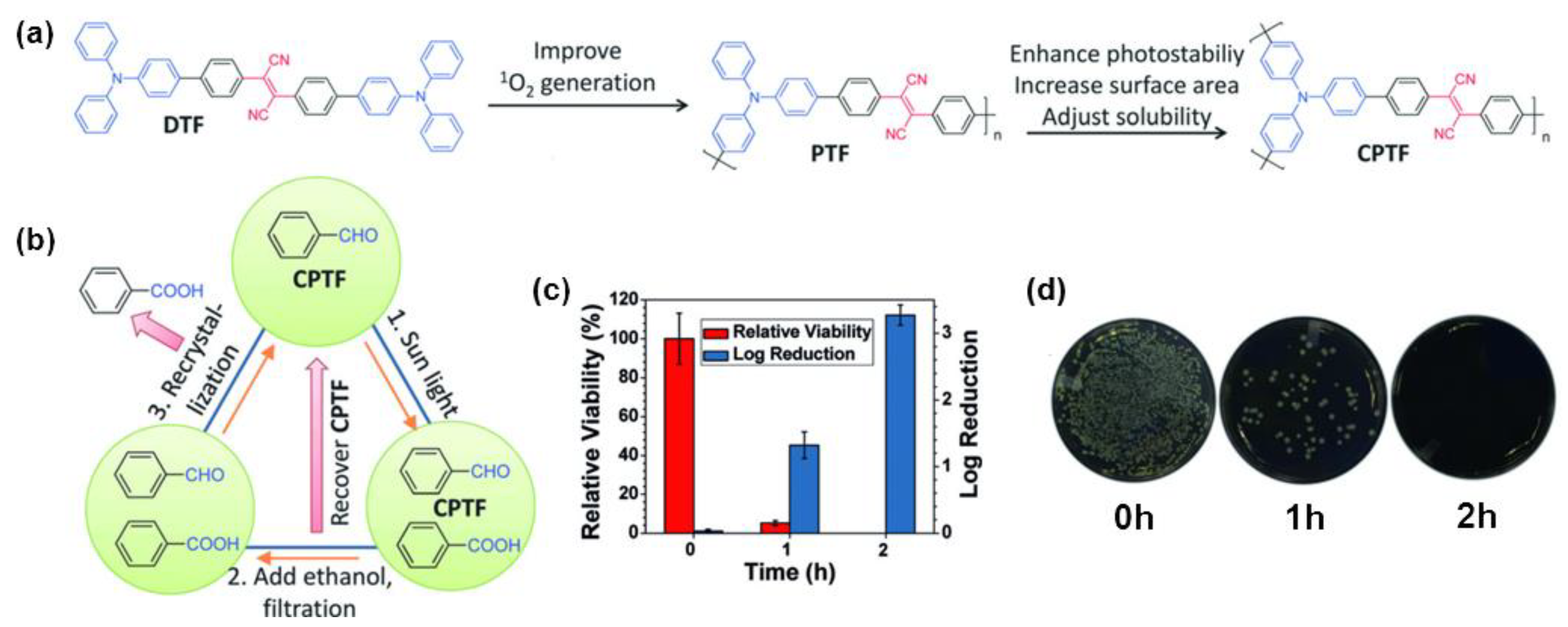 Molecules 28 00078 g013 Molecules 28 00078 g013