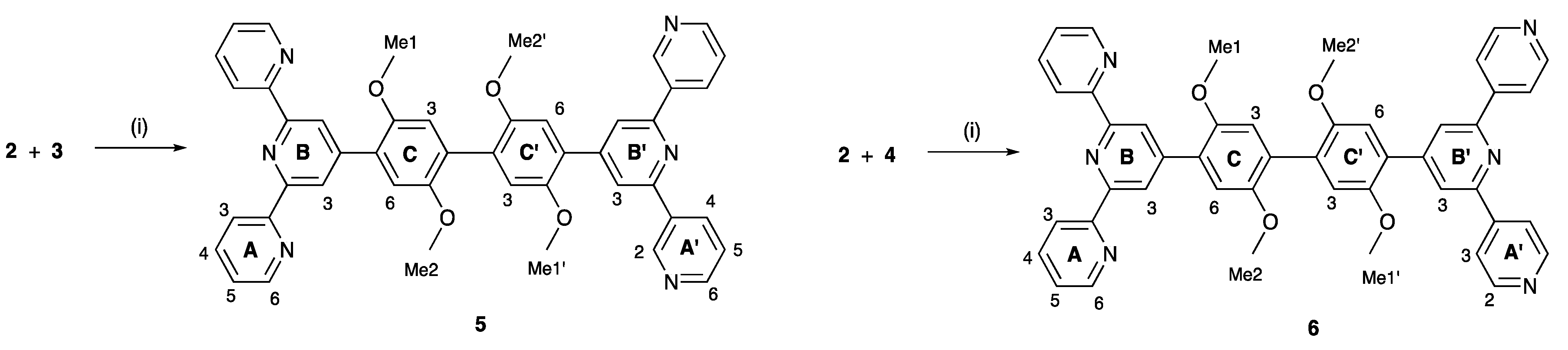 Molecules 28 00082 sch006 Molecules 28 00082 sch006