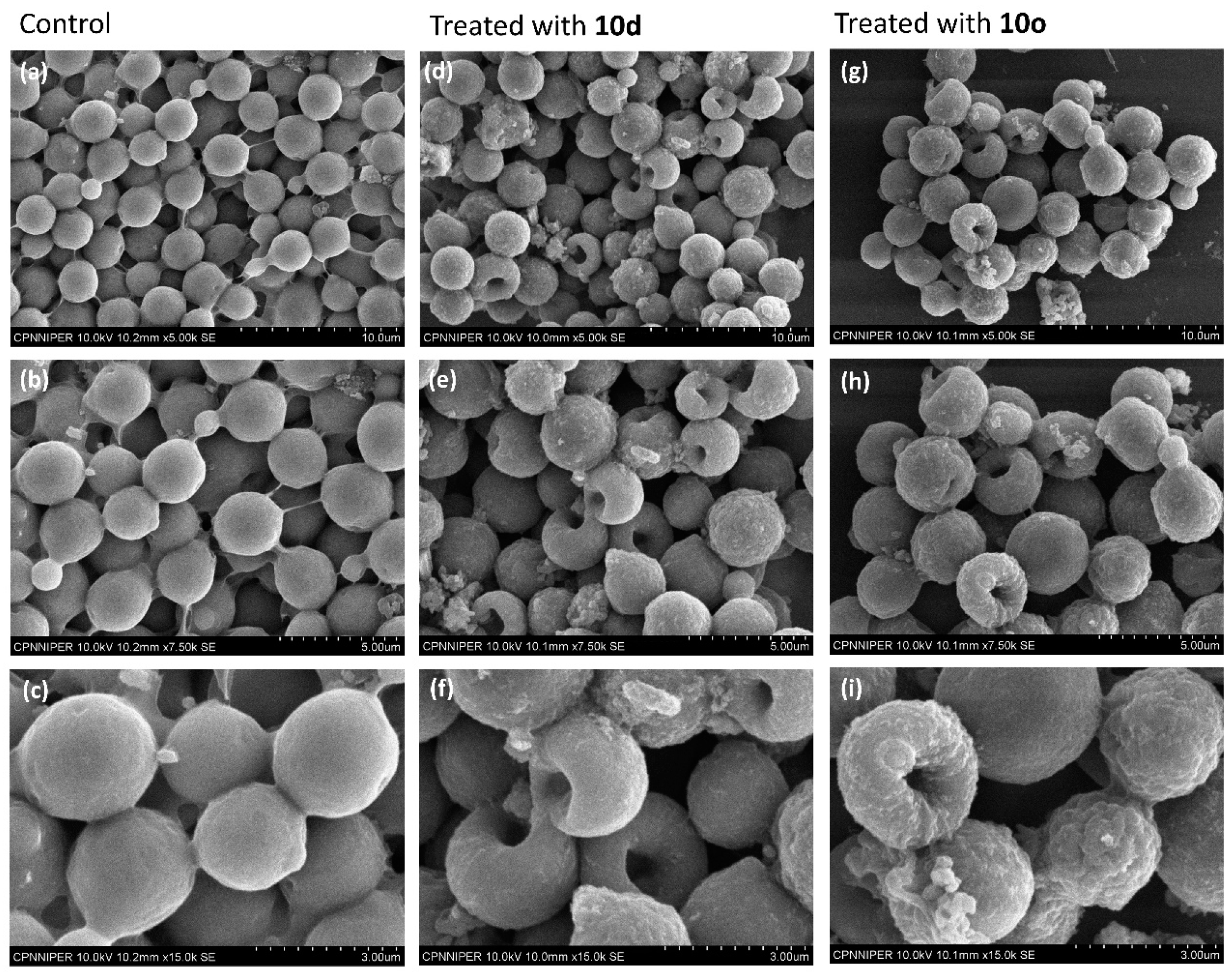 Molecules 28 00087 g006 Molecules 28 00087 g006
