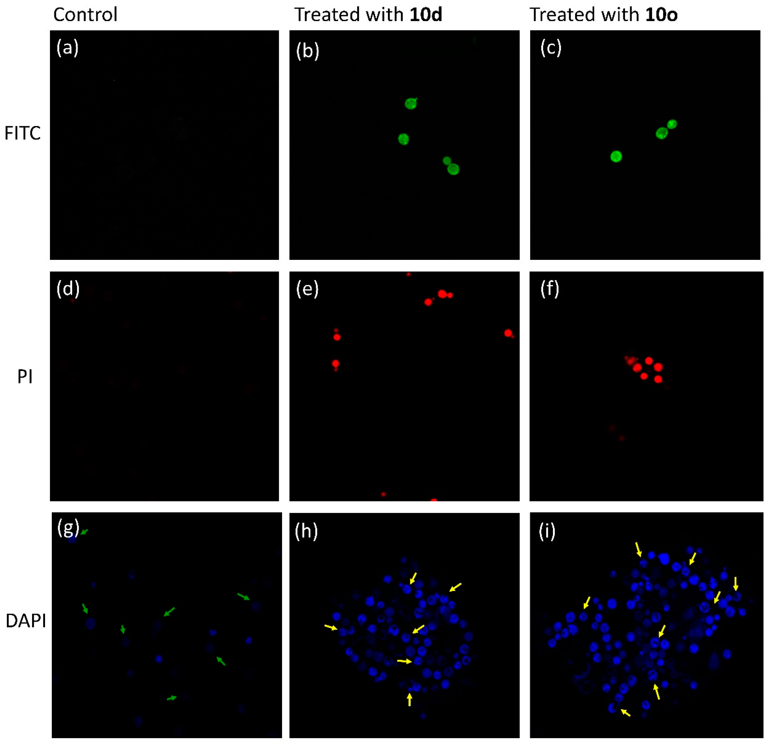 Molecules 28 00087 g009 Molecules 28 00087 g009
