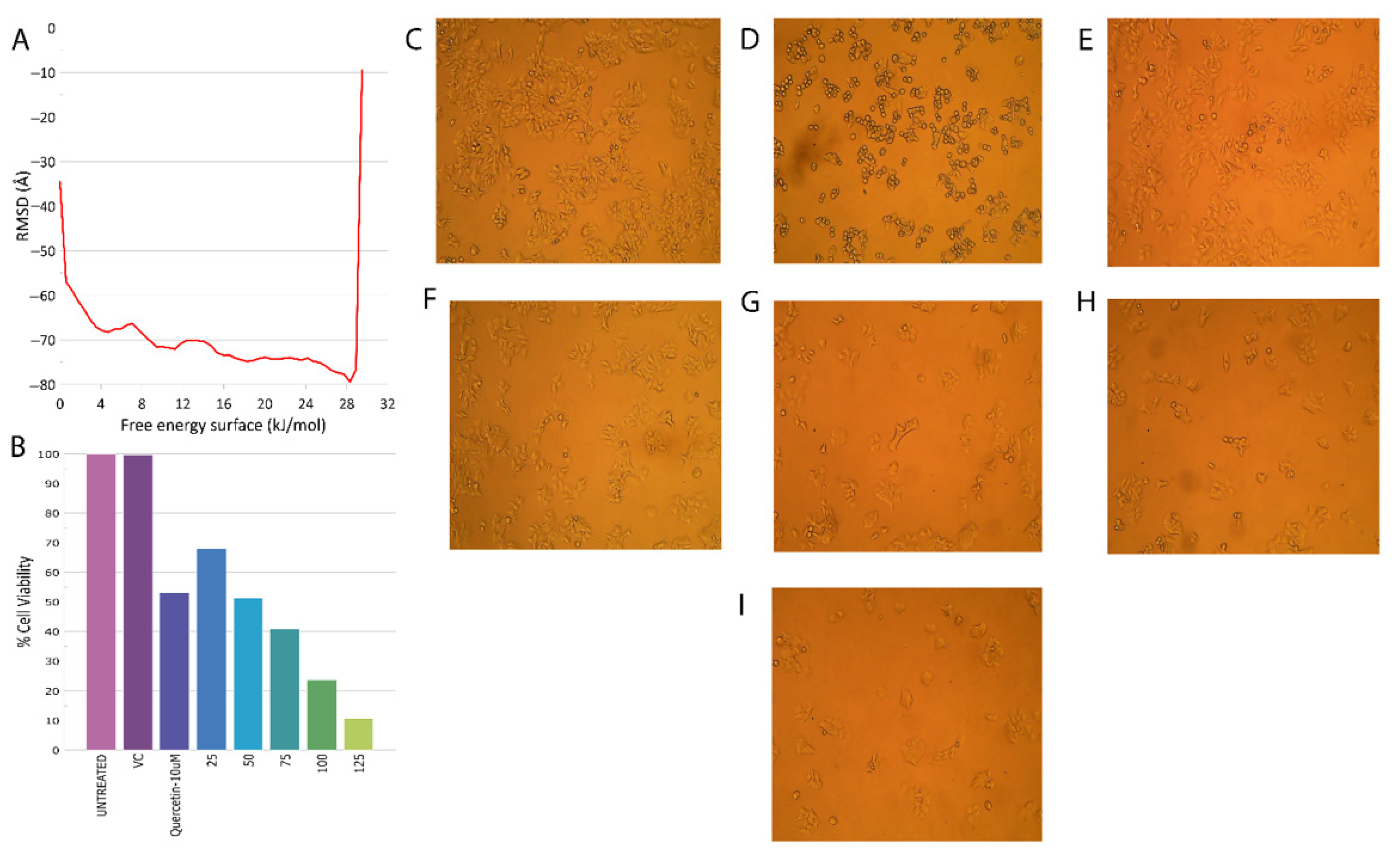Molecules 28 00089 g004 Molecules 28 00089 g004