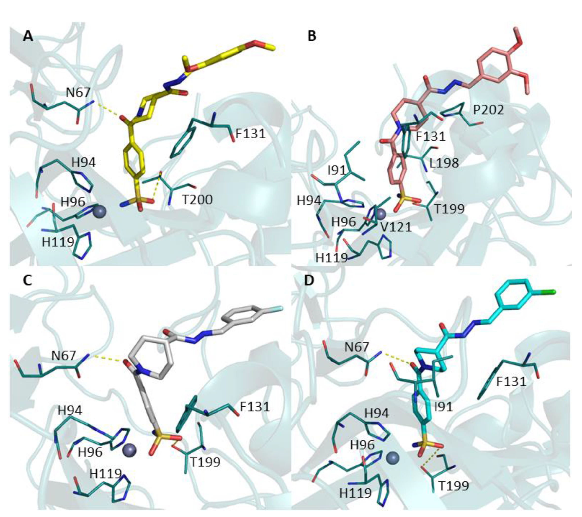 Molecules 28 00091 g002