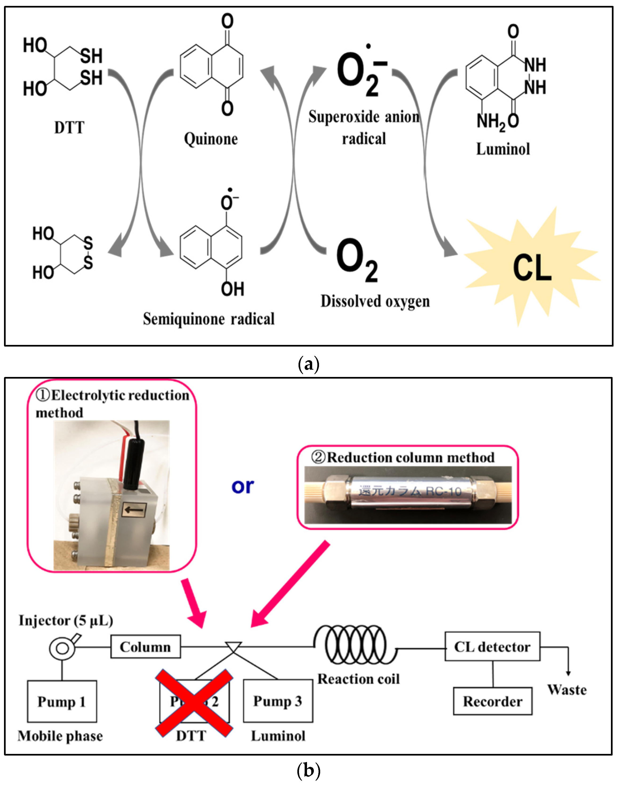 Molecules 28 00096 g001 Molecules 28 00096 g001