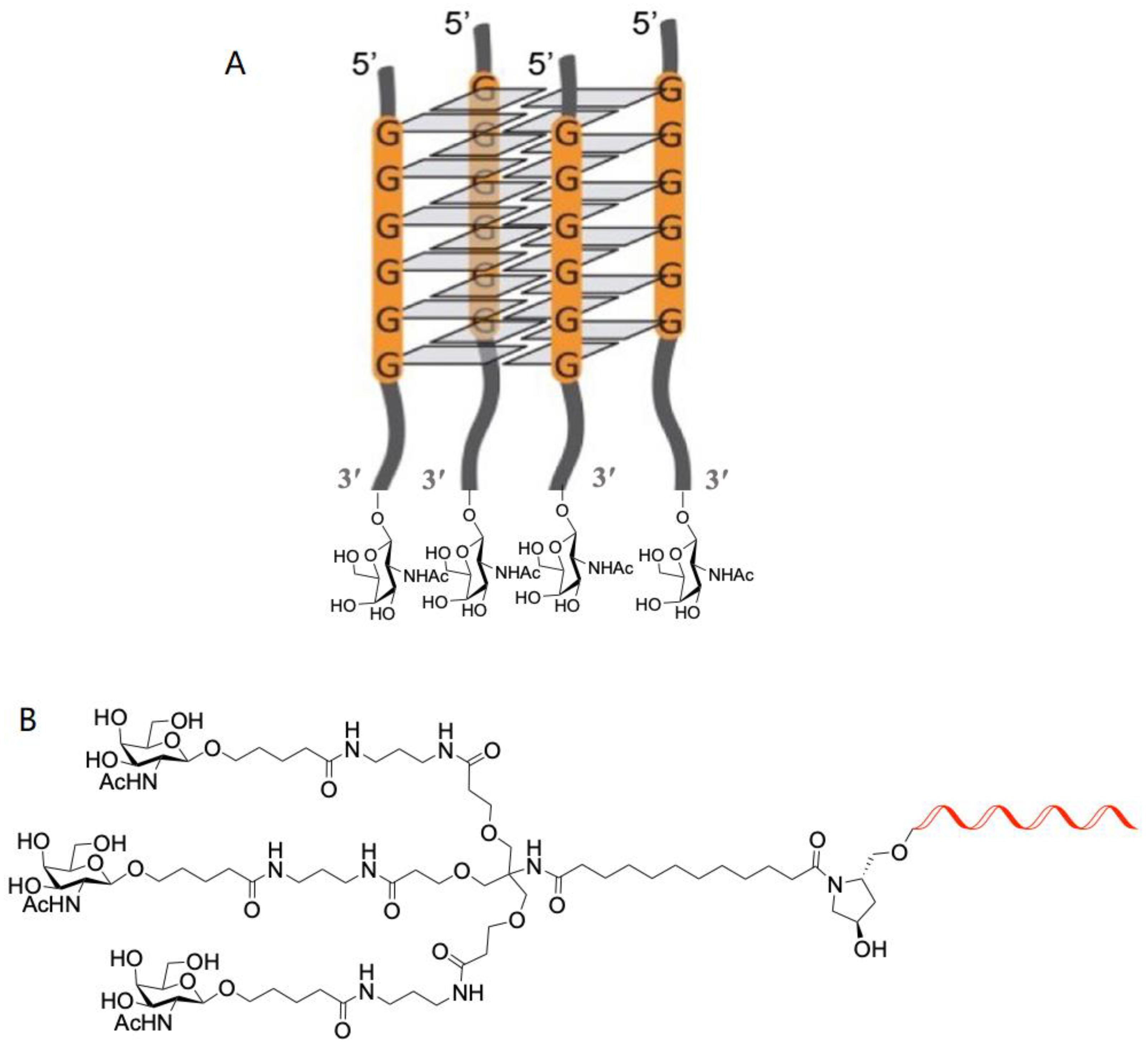 Molecules 28 00098 sch001b 550