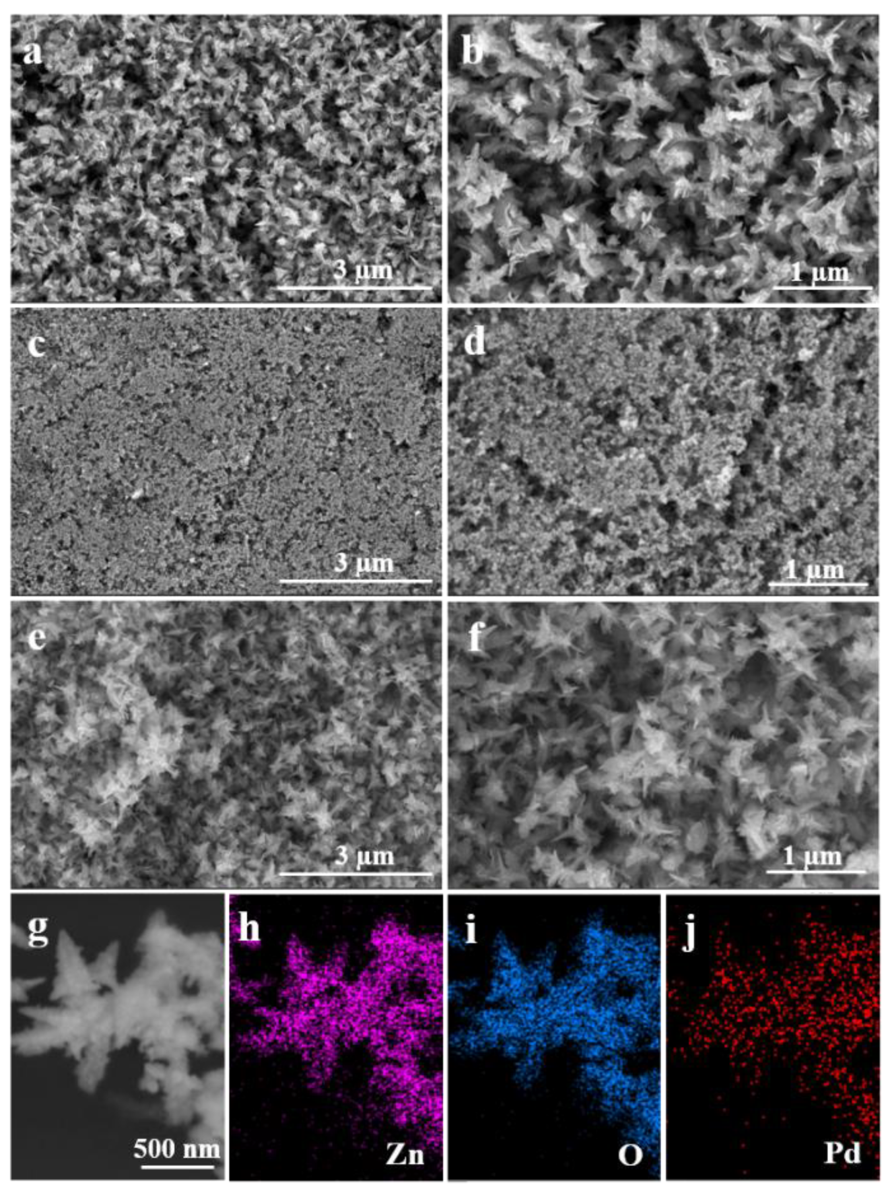 Molecules 28 00099 g001