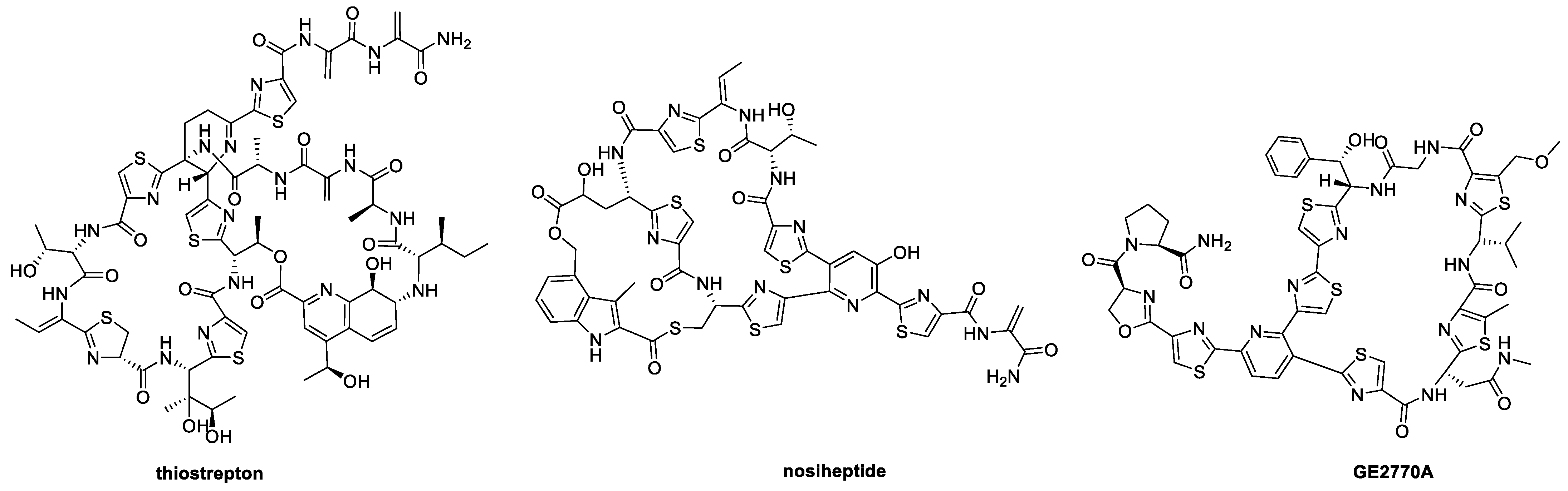 Molecules 28 00101 g001