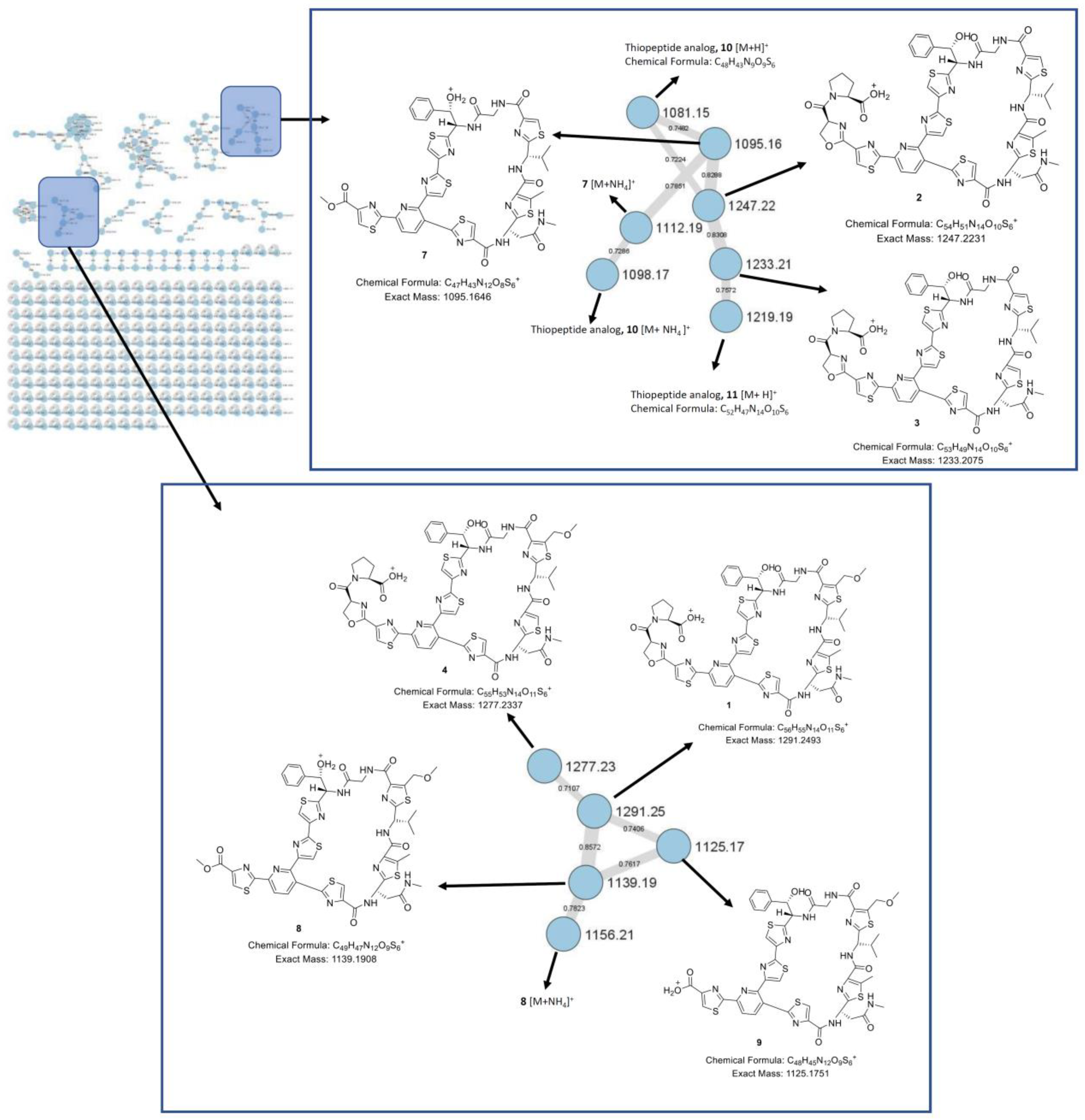Molecules 28 00101 g002