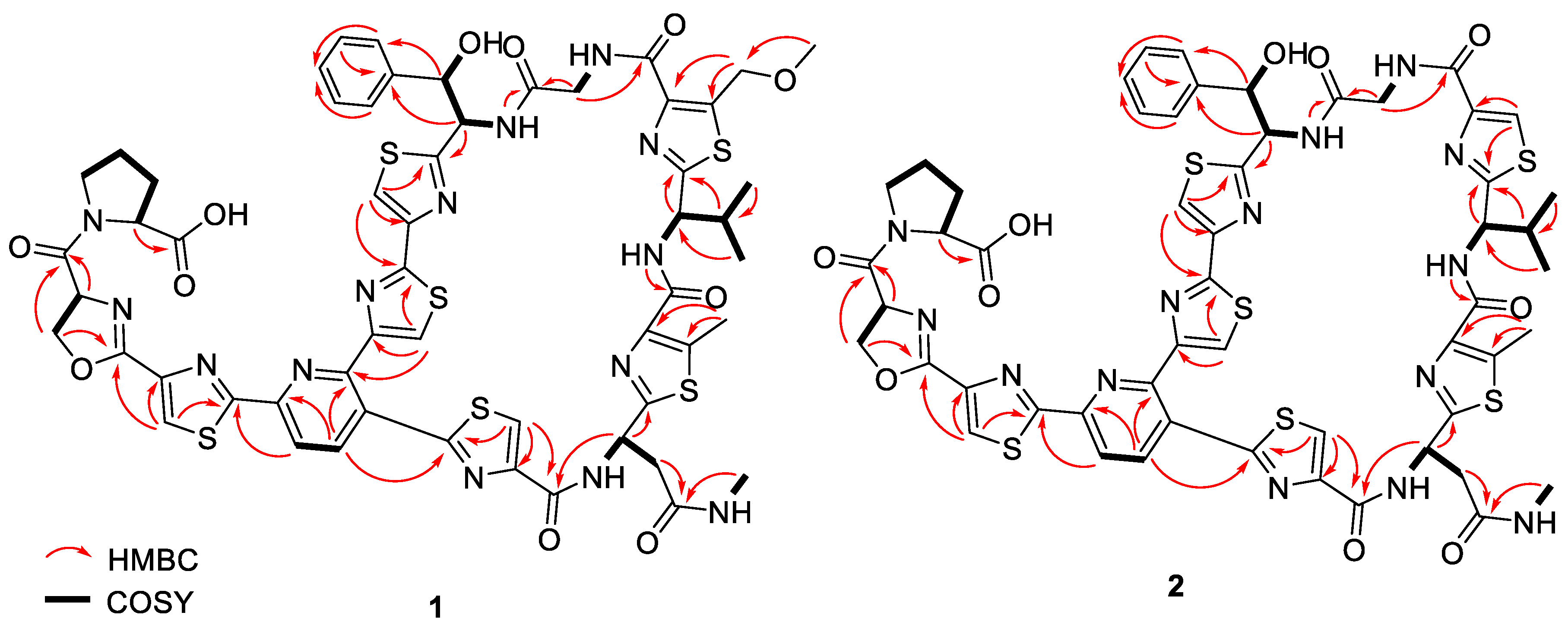 Molecules 28 00101 g004