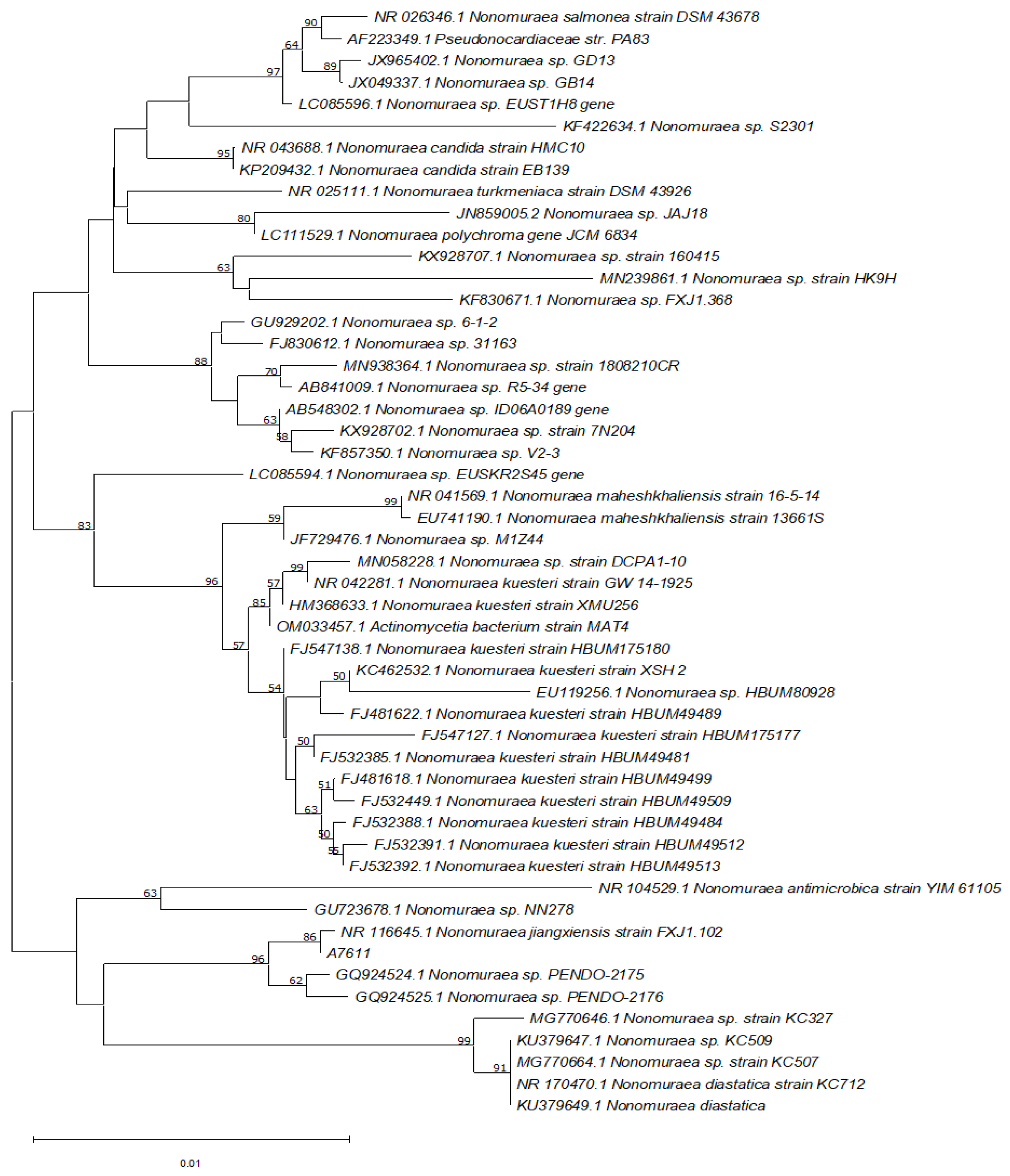 Molecules 28 00101 g006
