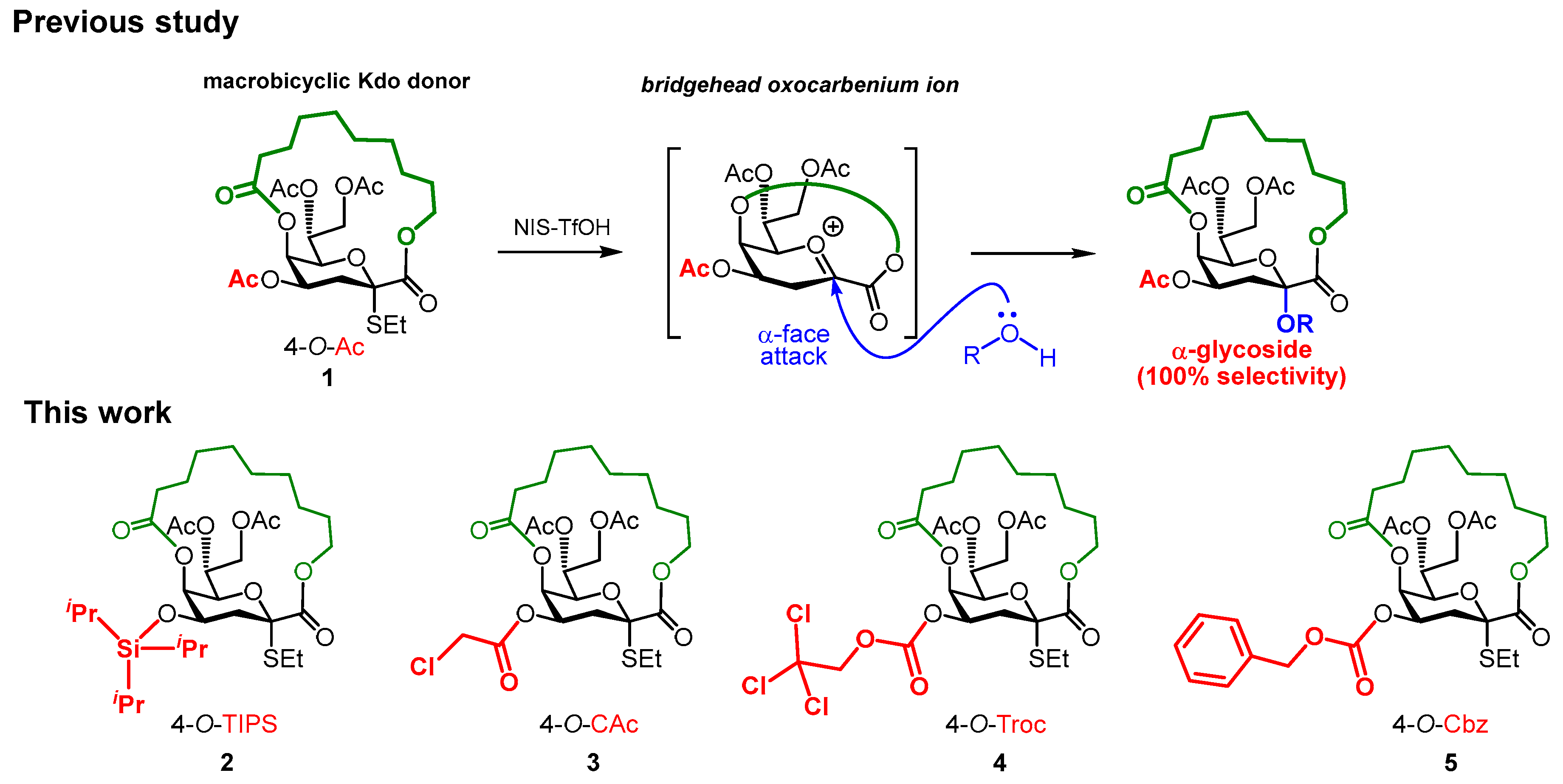 Molecules 28 00102 g001