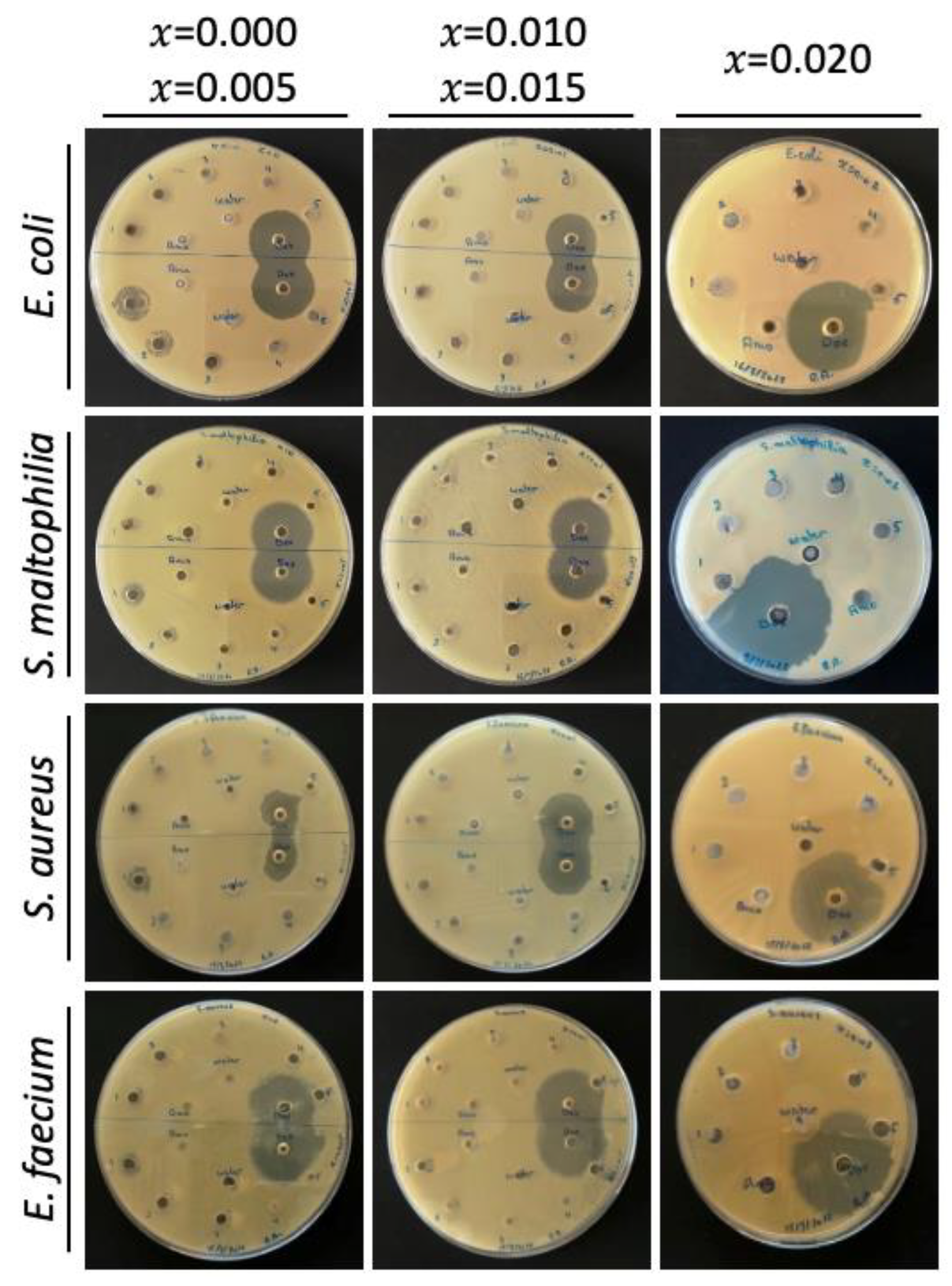 Molecules 28 00103 g0a4 Molecules 28 00103 g0a4