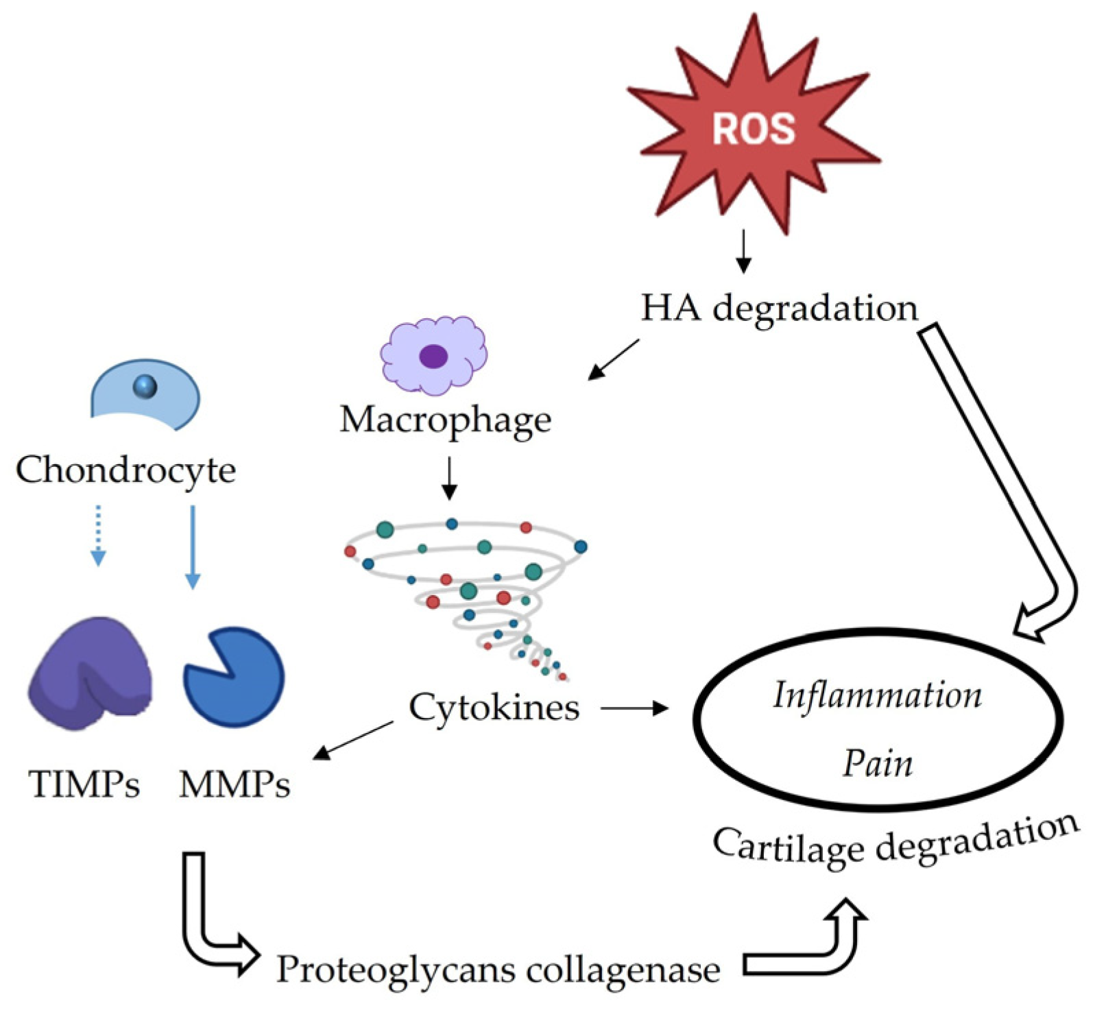 Molecules 28 00106 g002 Molecules 28 00106 g002