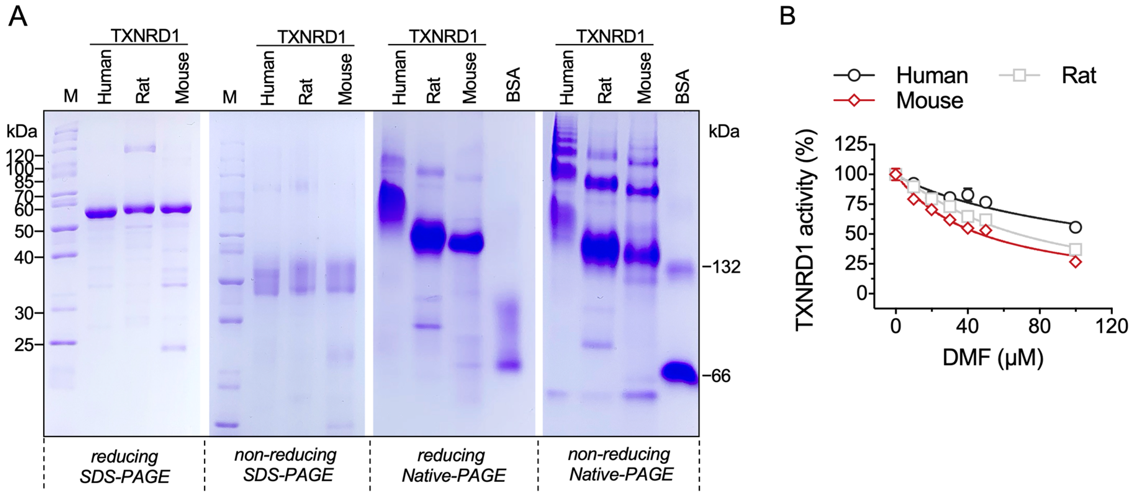 Molecules 28 00107 g004 Molecules 28 00107 g004