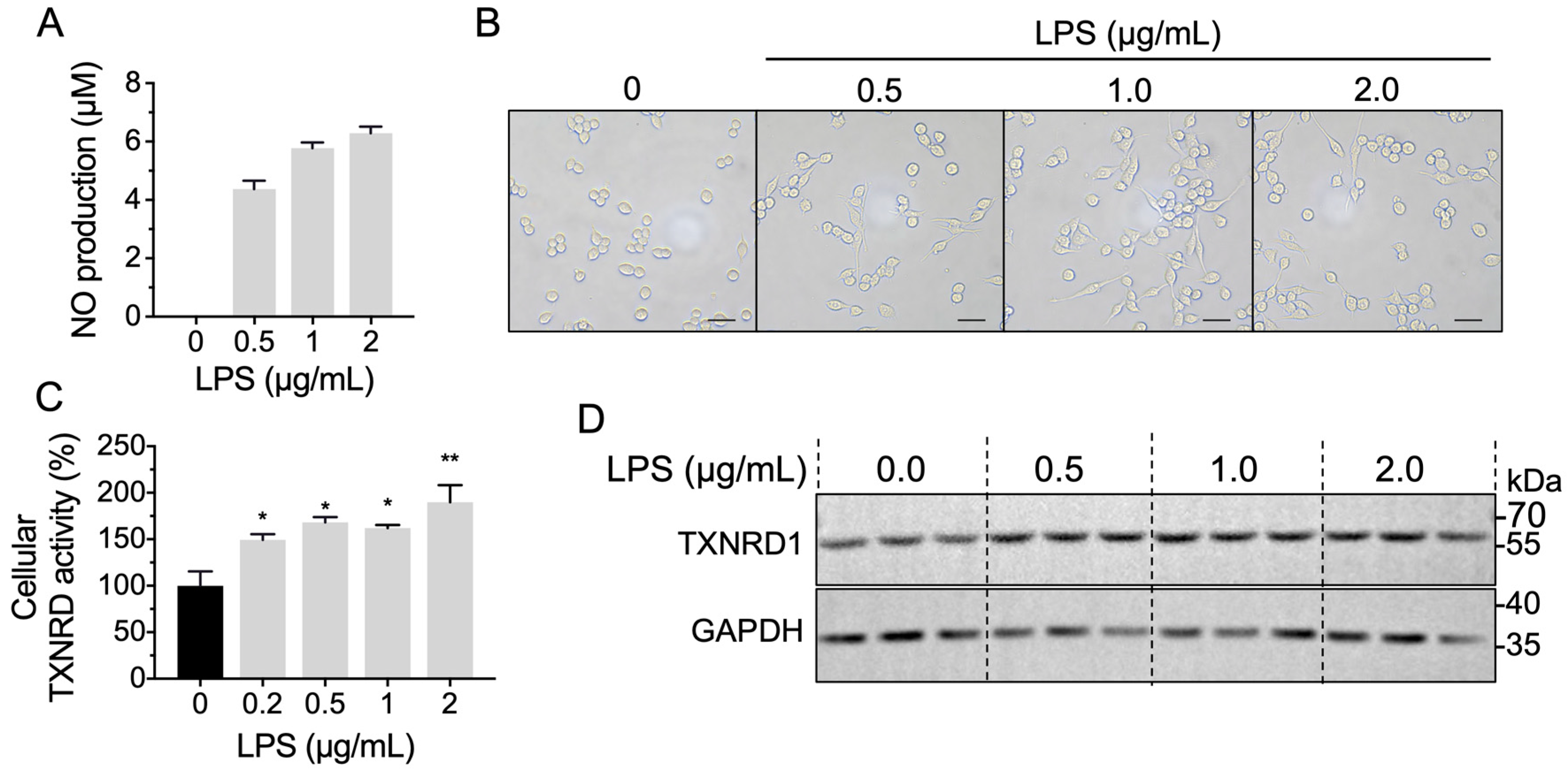 Molecules 28 00107 g005 Molecules 28 00107 g005