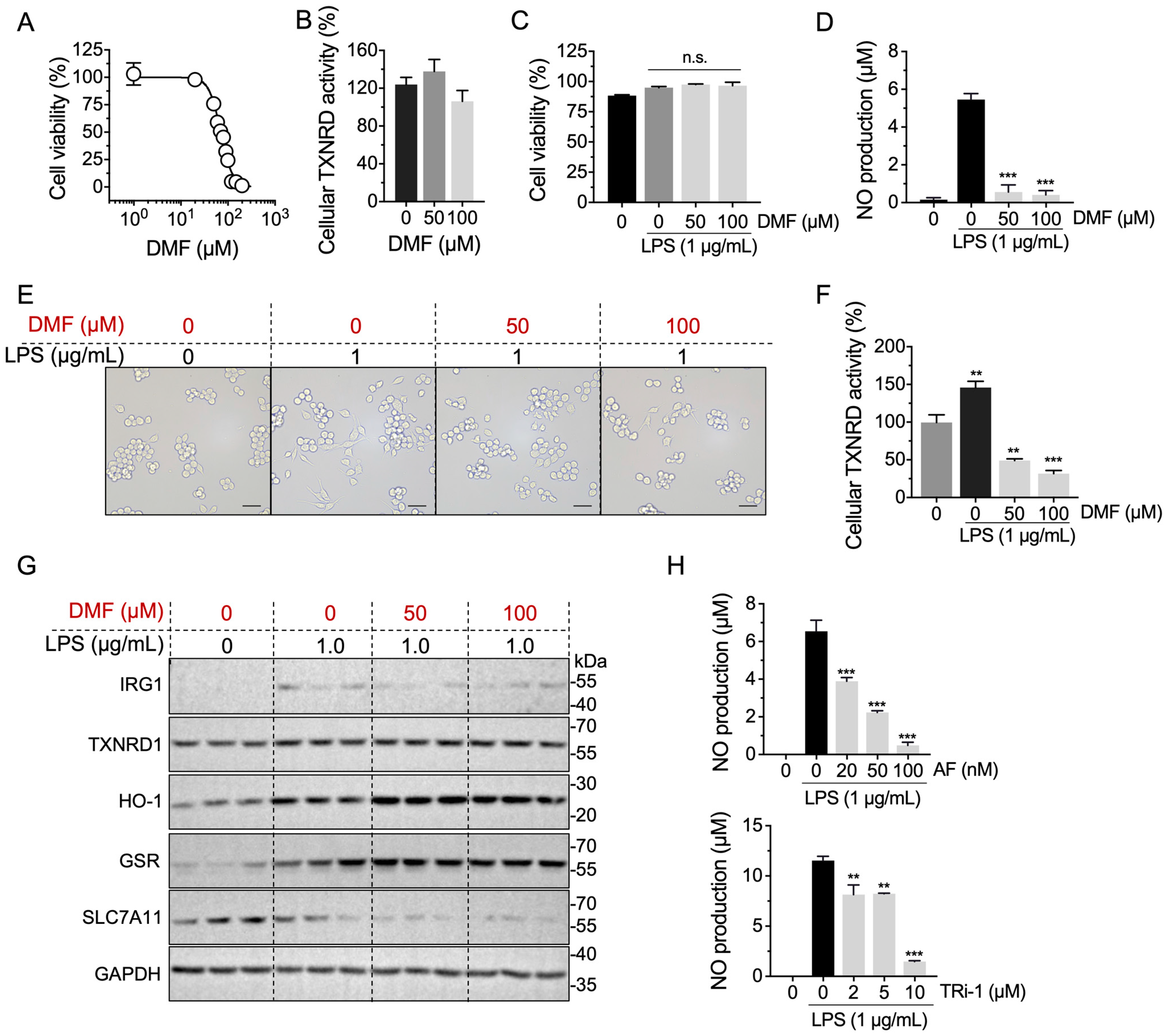 Molecules 28 00107 g006 Molecules 28 00107 g006