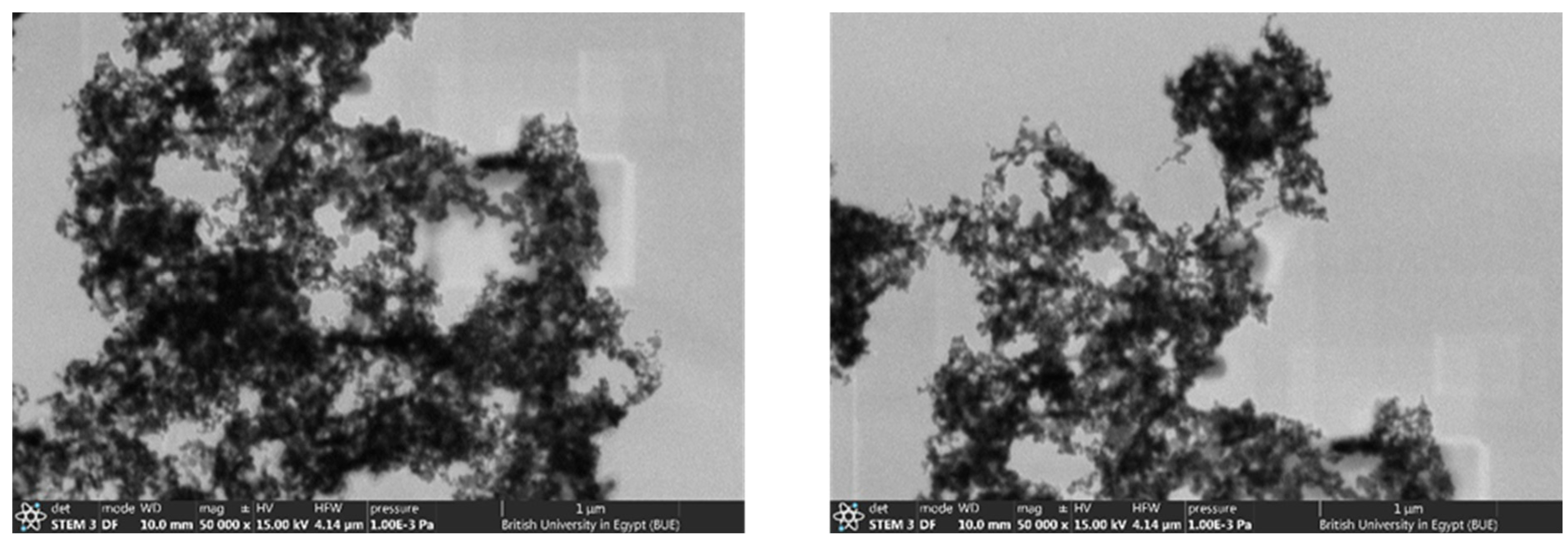 Molecules 28 00108 g006 Molecules 28 00108 g006