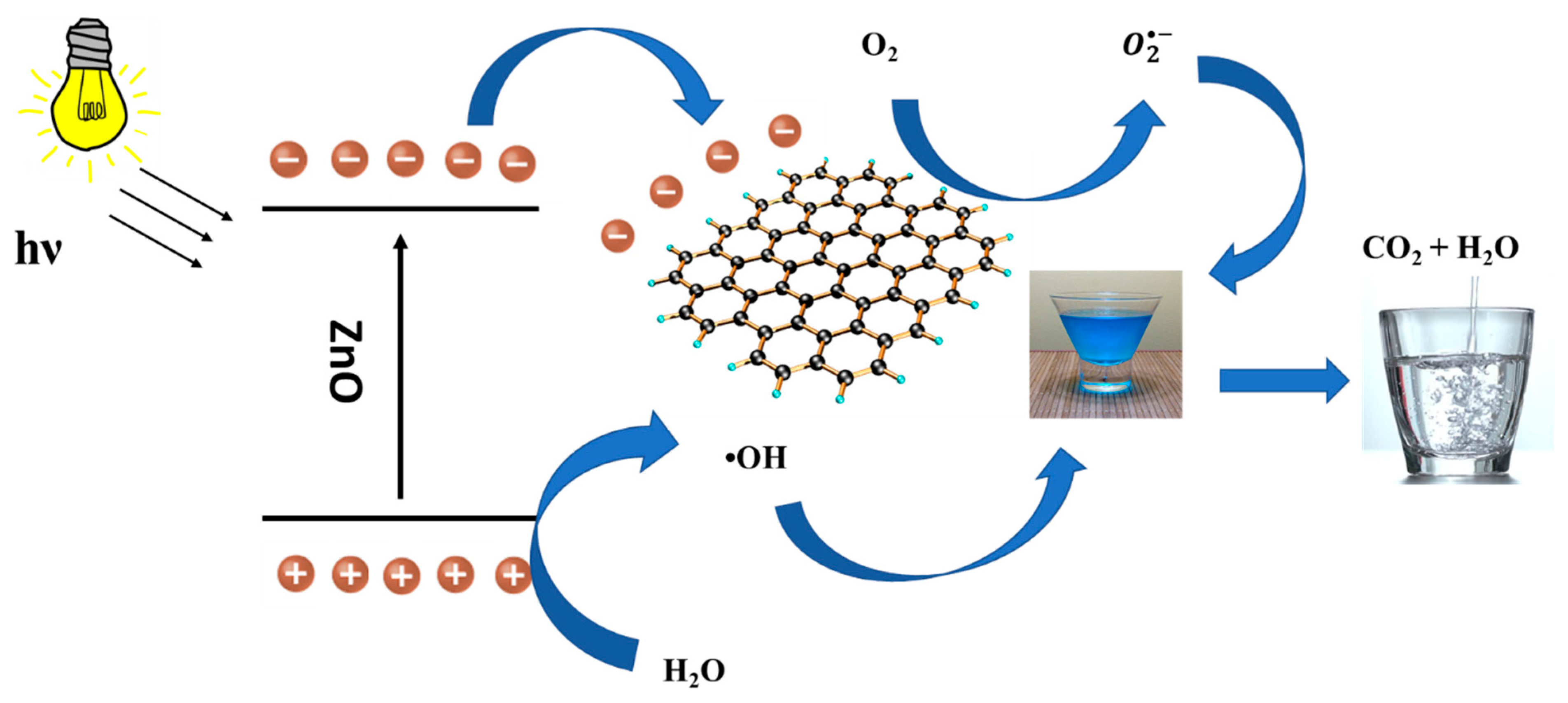 Molecules 28 00108 g010 Molecules 28 00108 g010