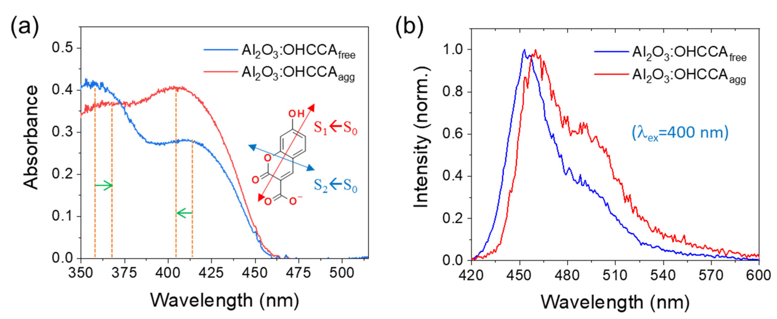 Molecules 28 00111 g001