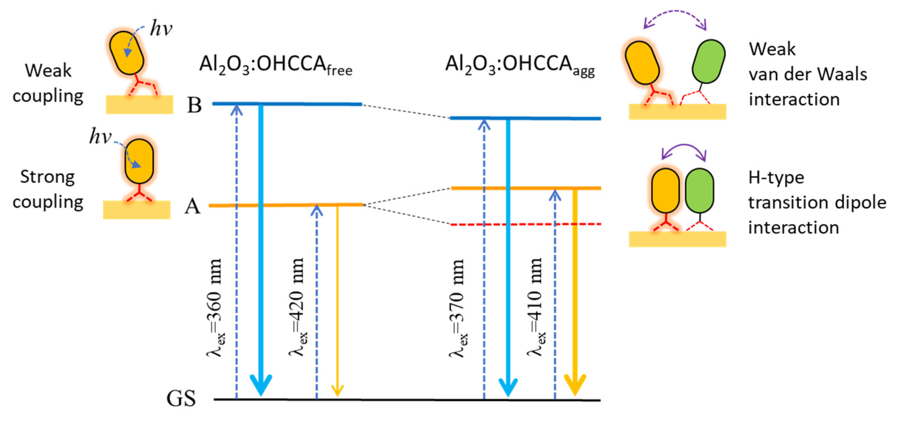 Molecules 28 00111 g003