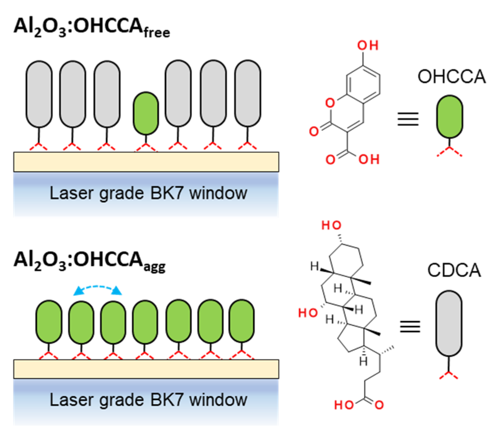 Molecules 28 00111 sch001