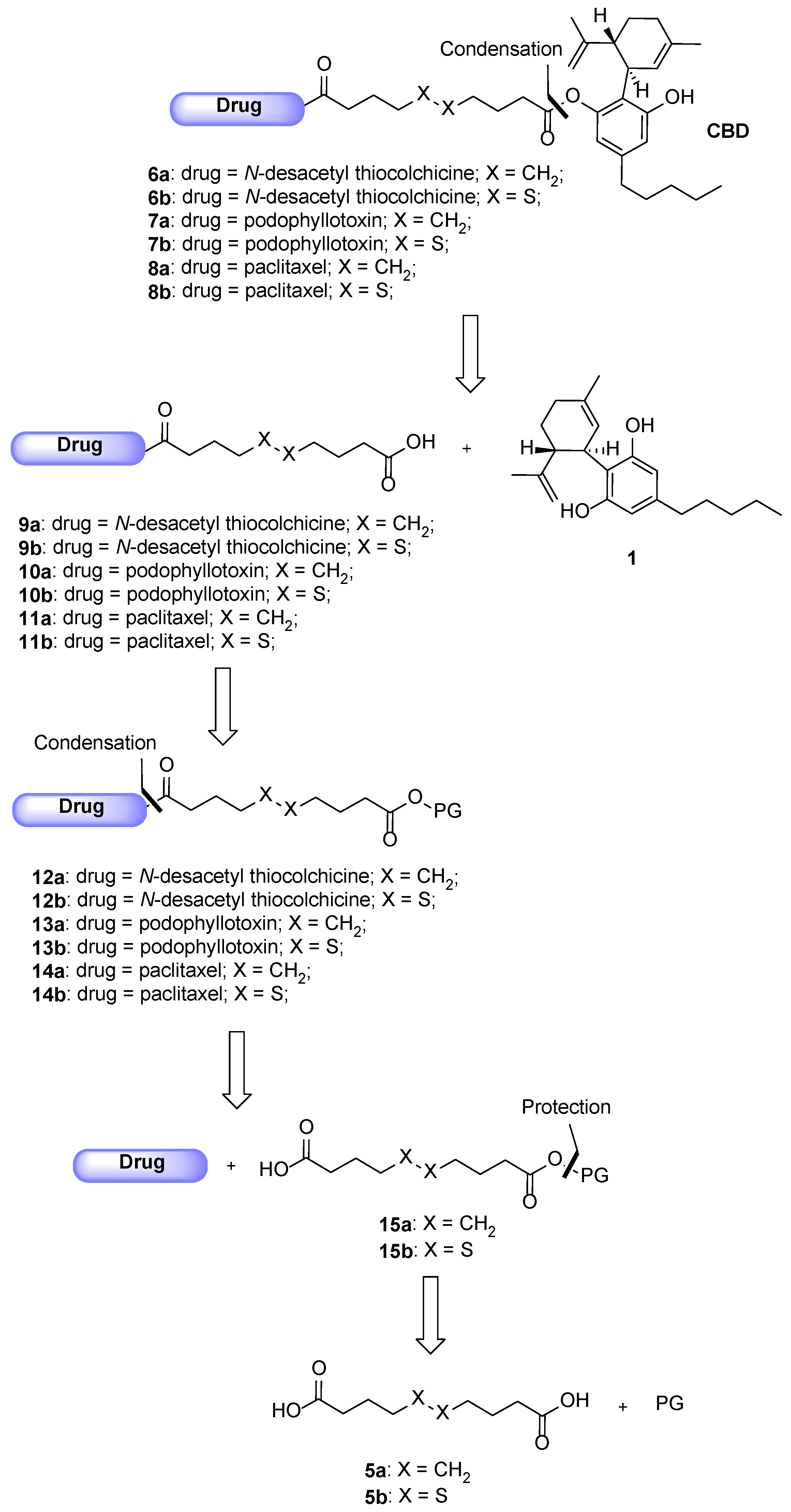 Molecules 28 00112 sch001