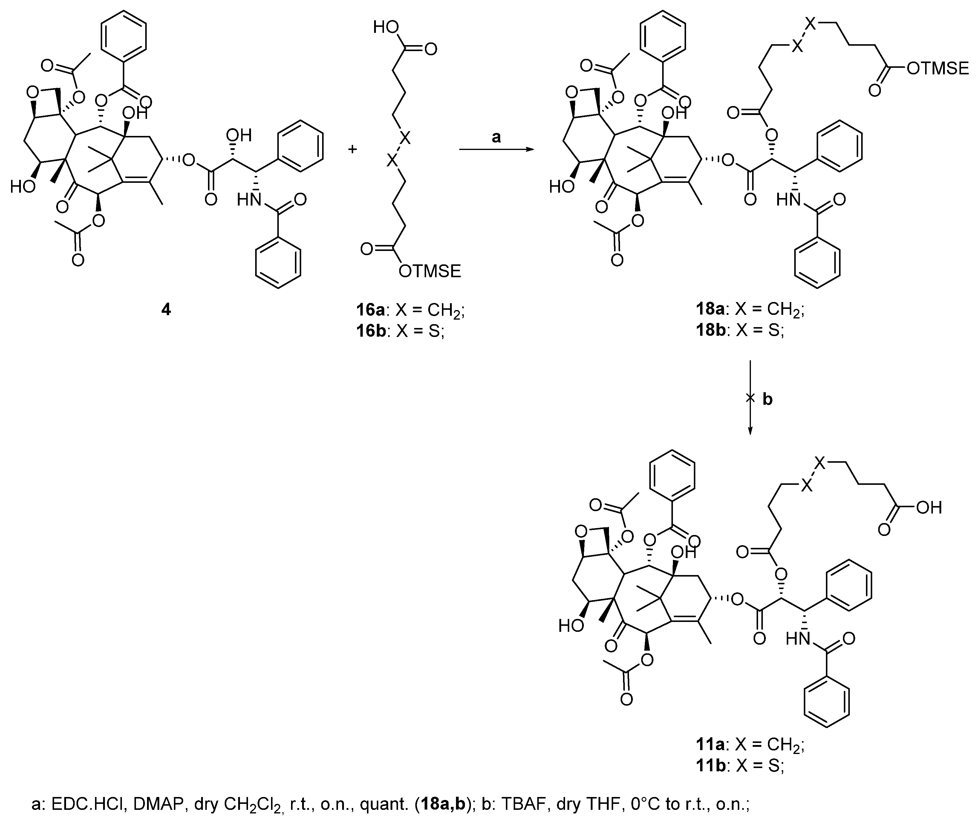Molecules 28 00112 sch004