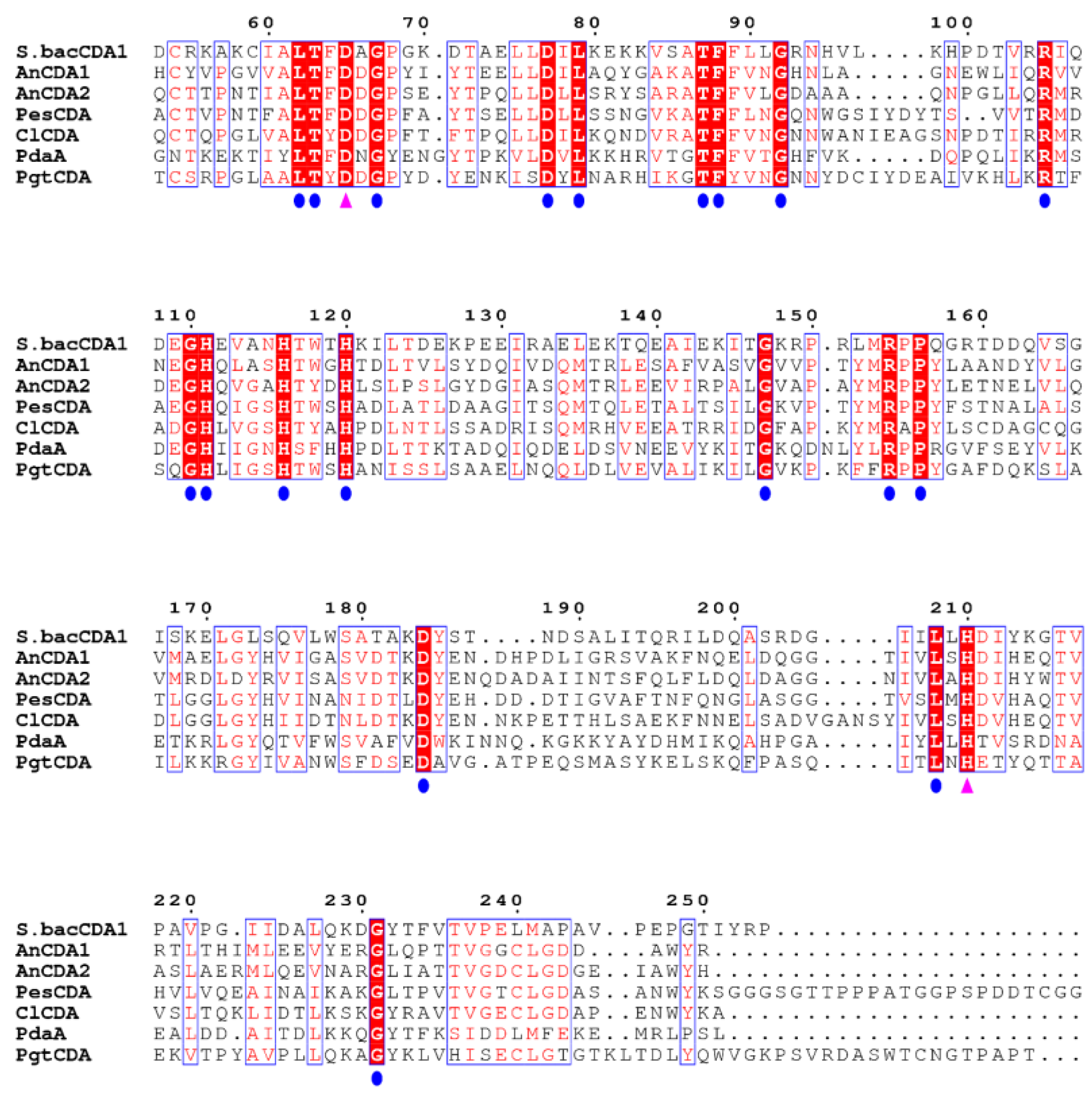 Molecules 28 00113 g001
