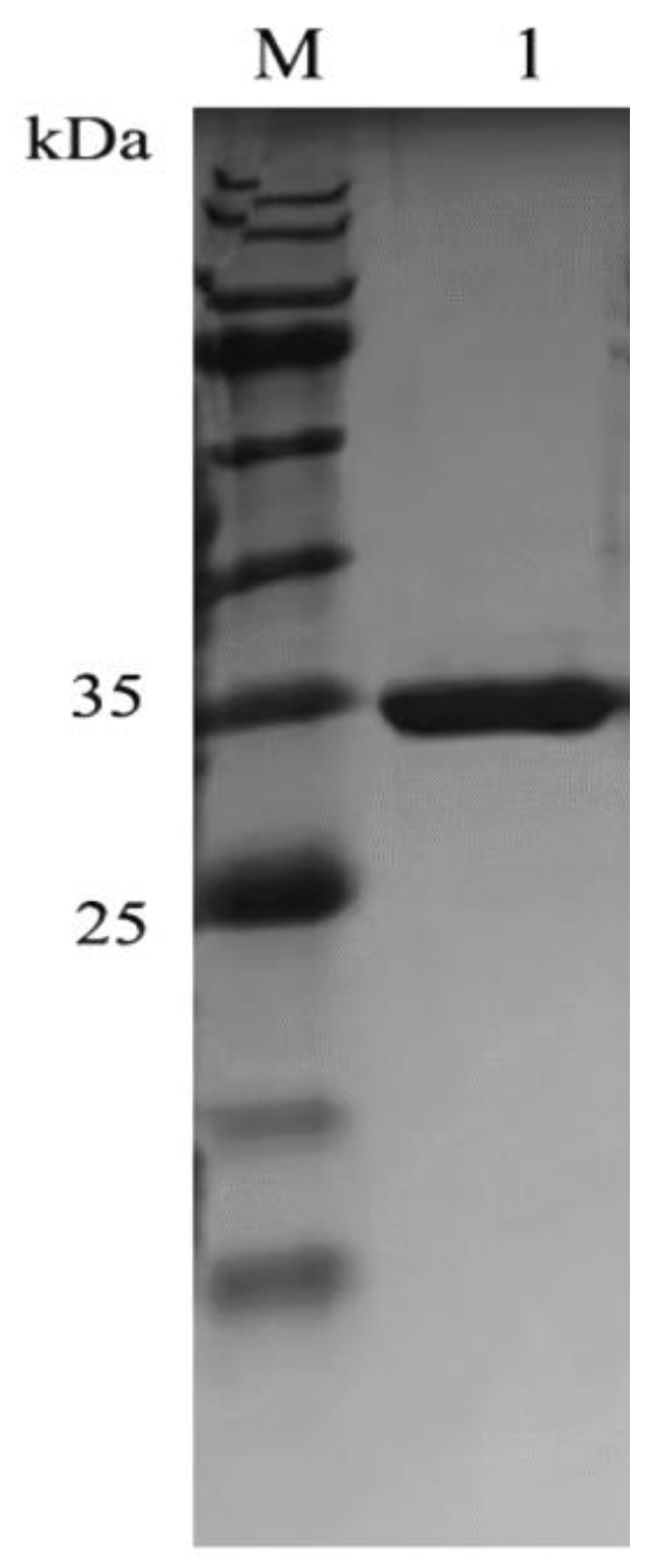 Molecules 28 00113 g0a2