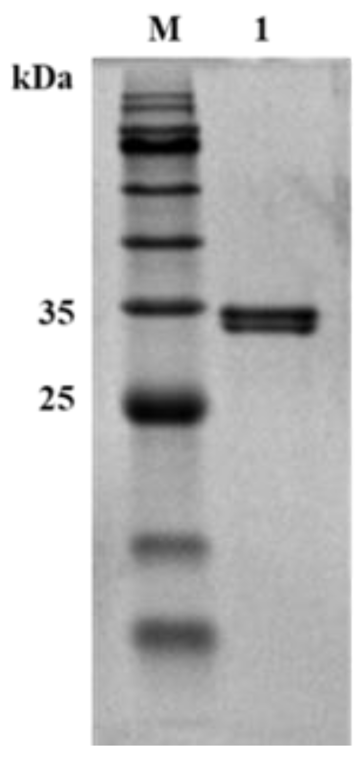 Molecules 28 00113 g0a3