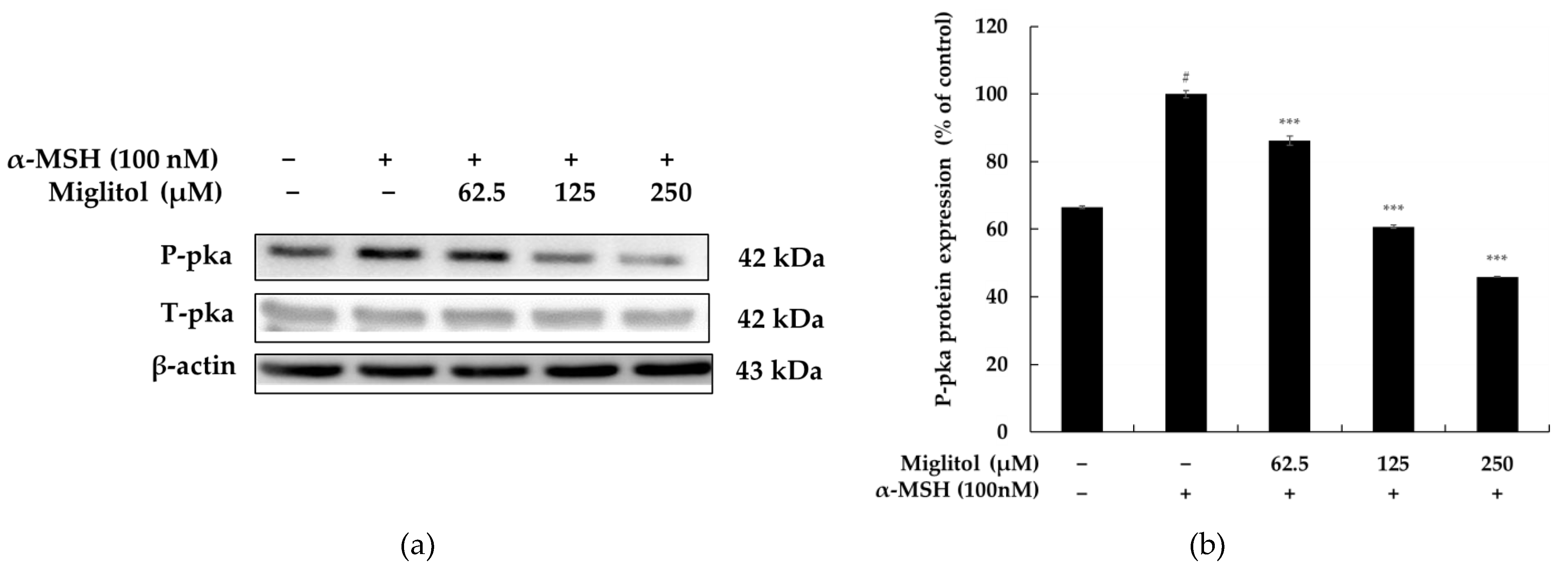 Molecules 28 00115 g005