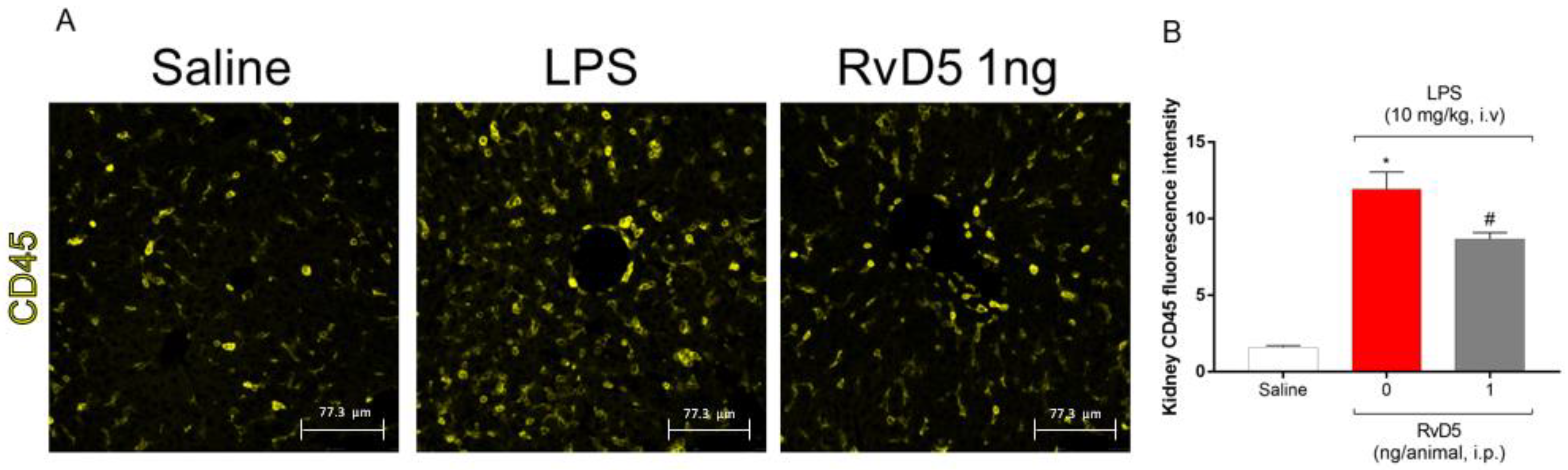 Molecules 28 00121 g007