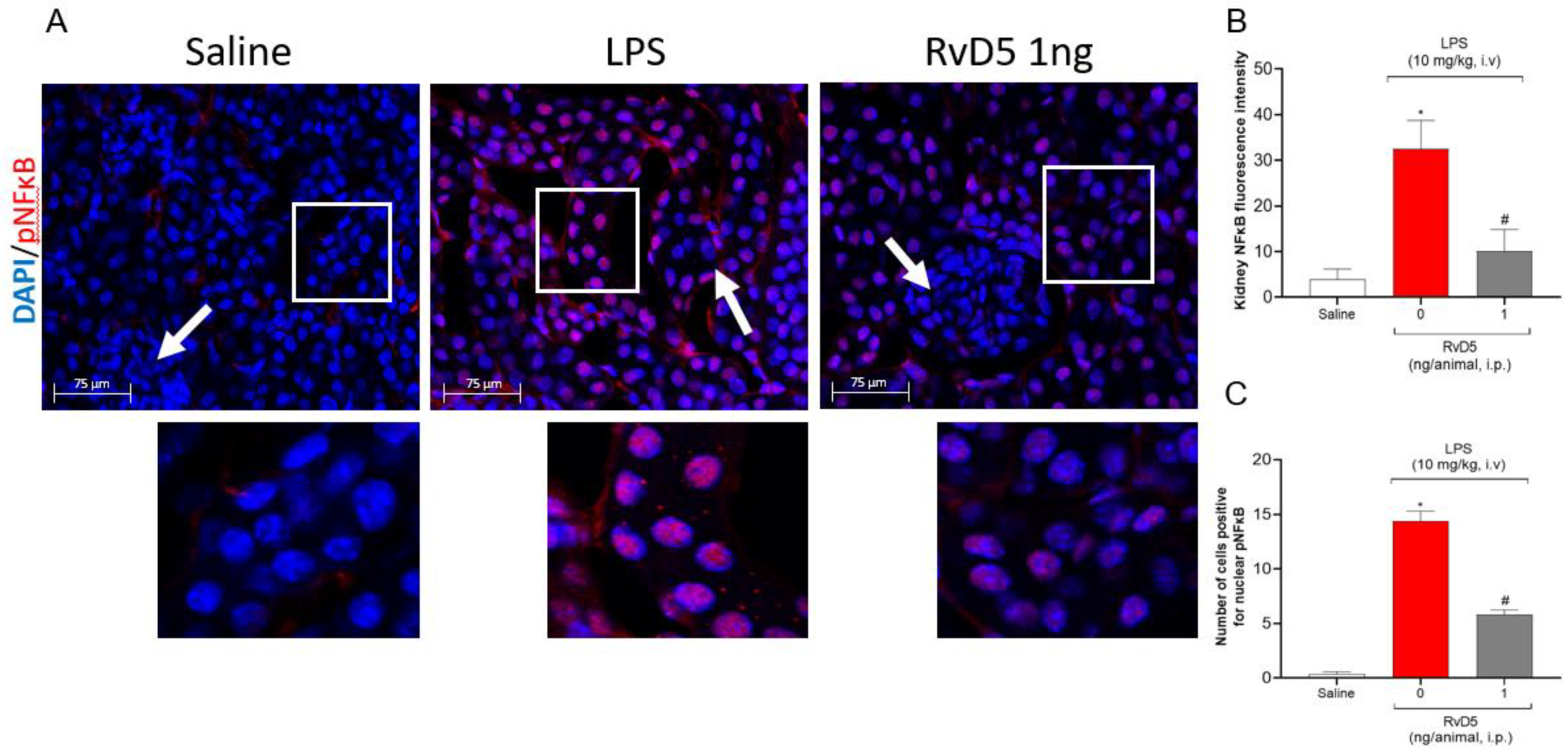 Molecules 28 00121 g008