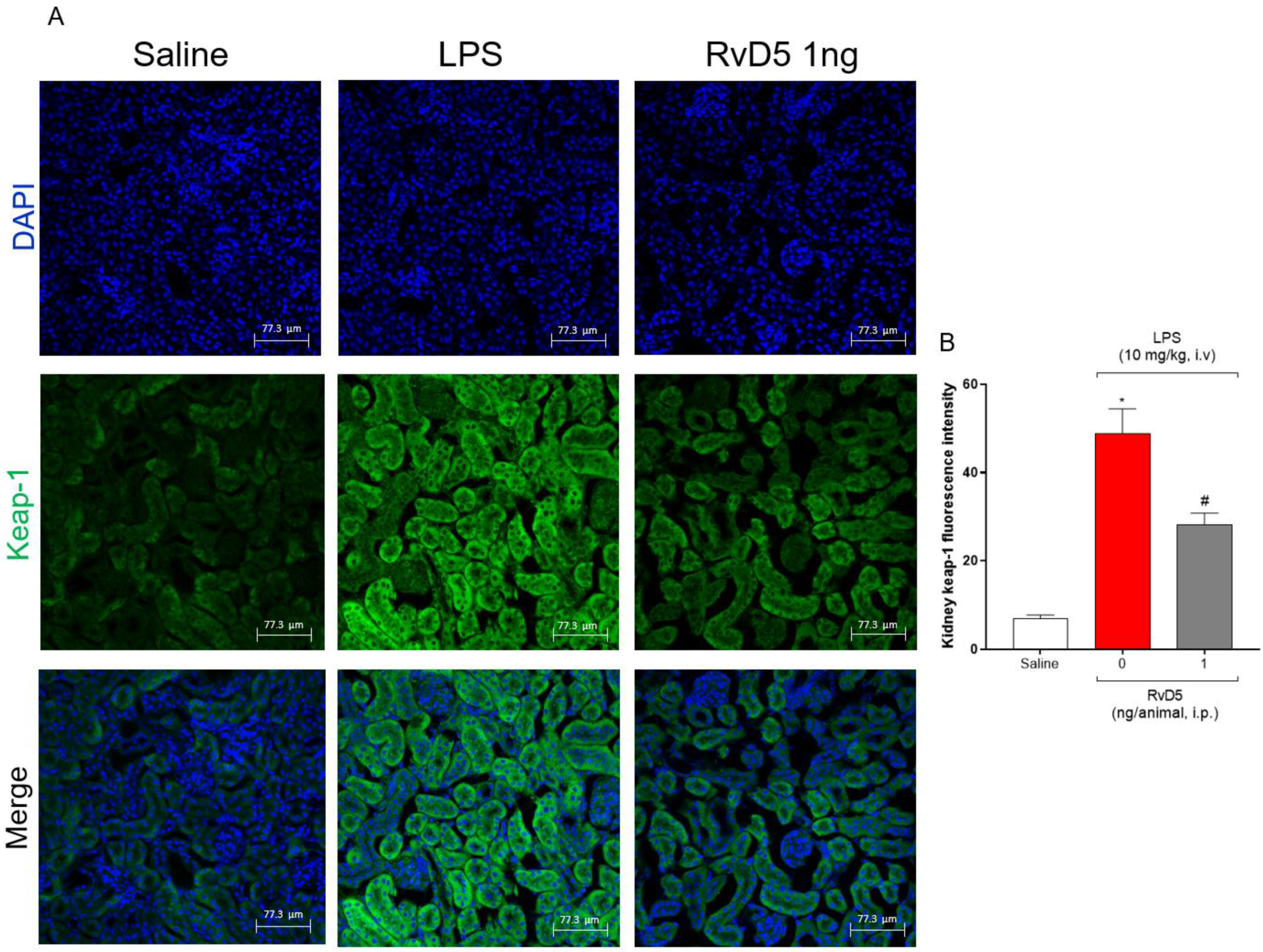 Molecules 28 00121 g009