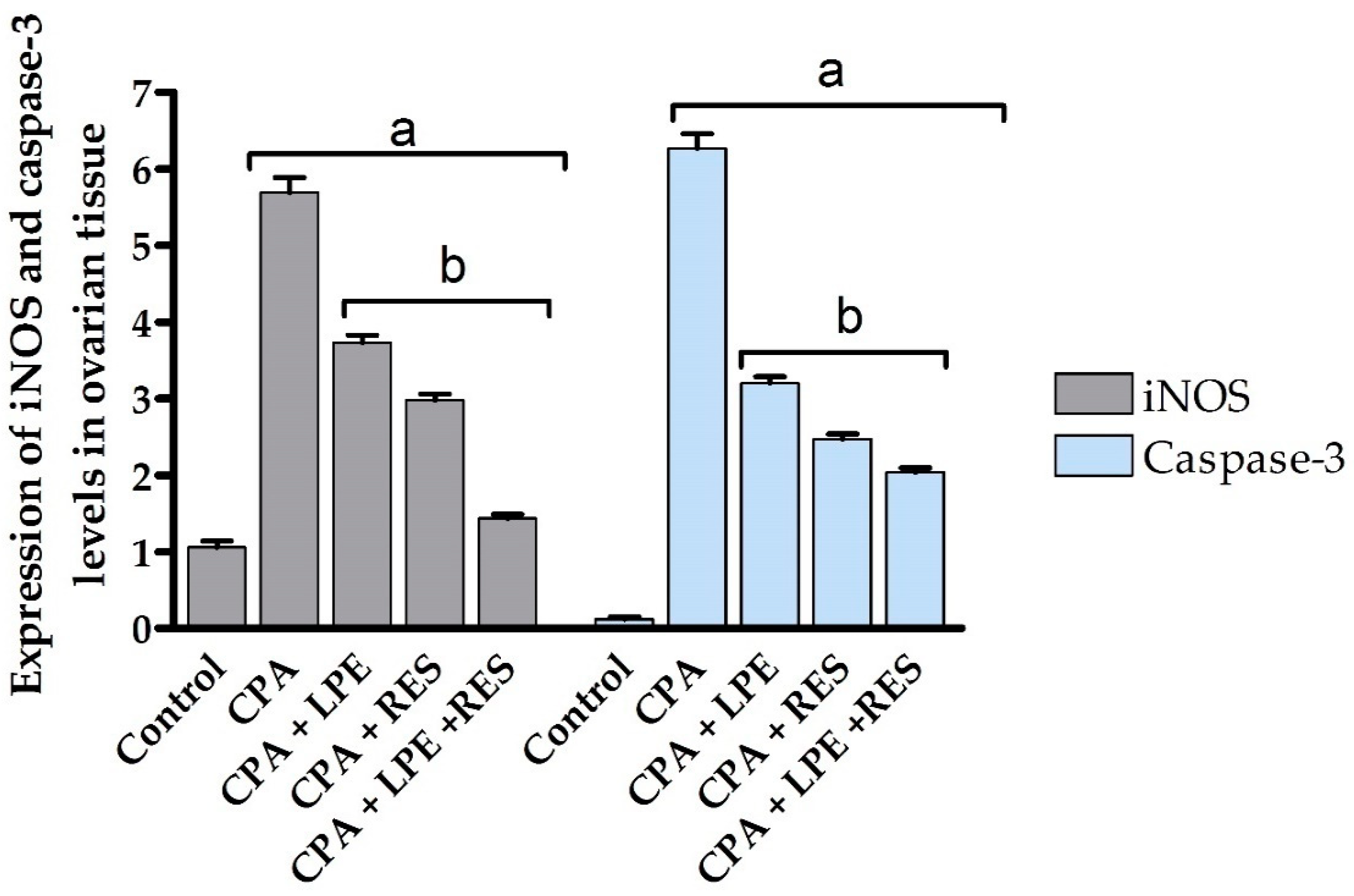 Molecules 28 00122 g006 Molecules 28 00122 g006