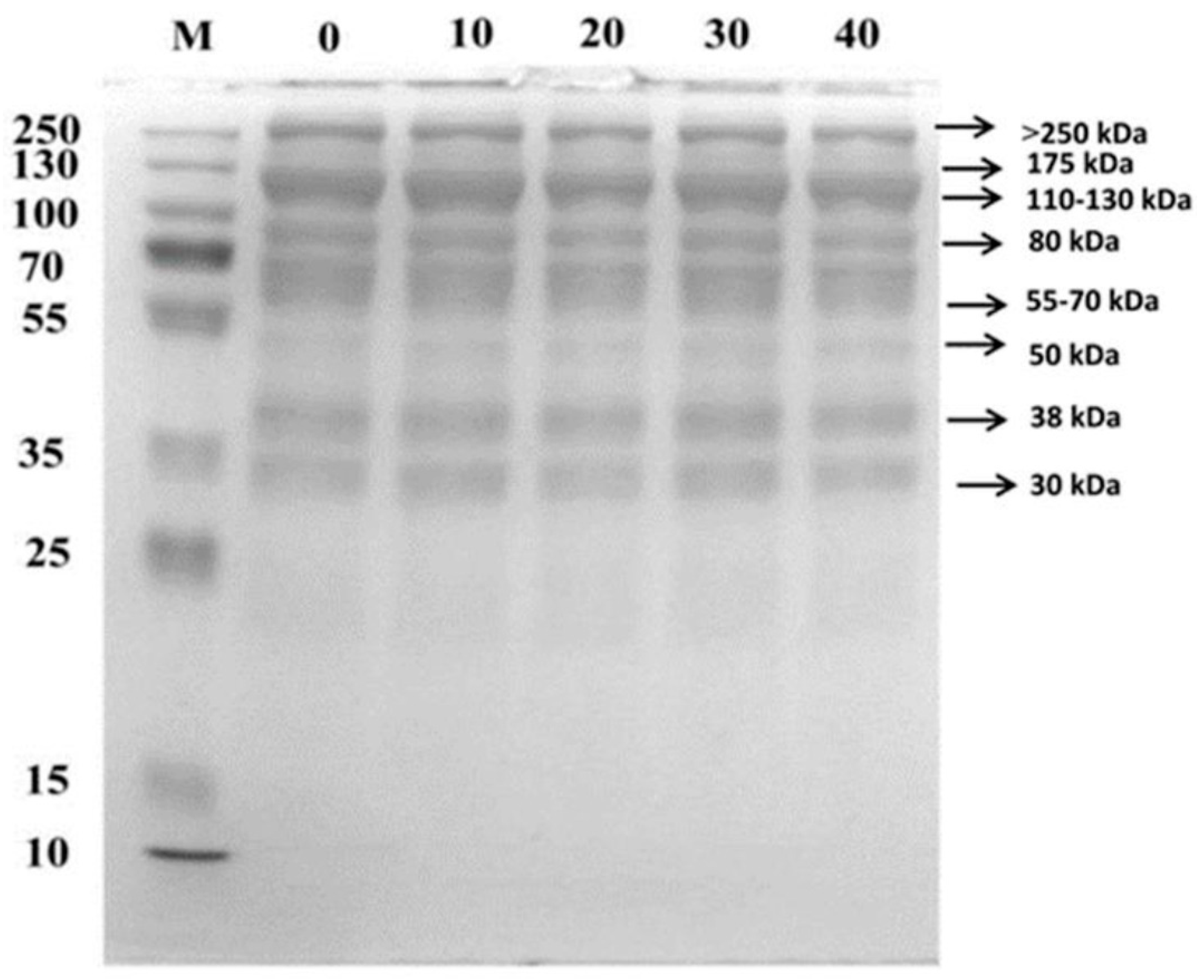 Molecules 28 00124 g005 550
