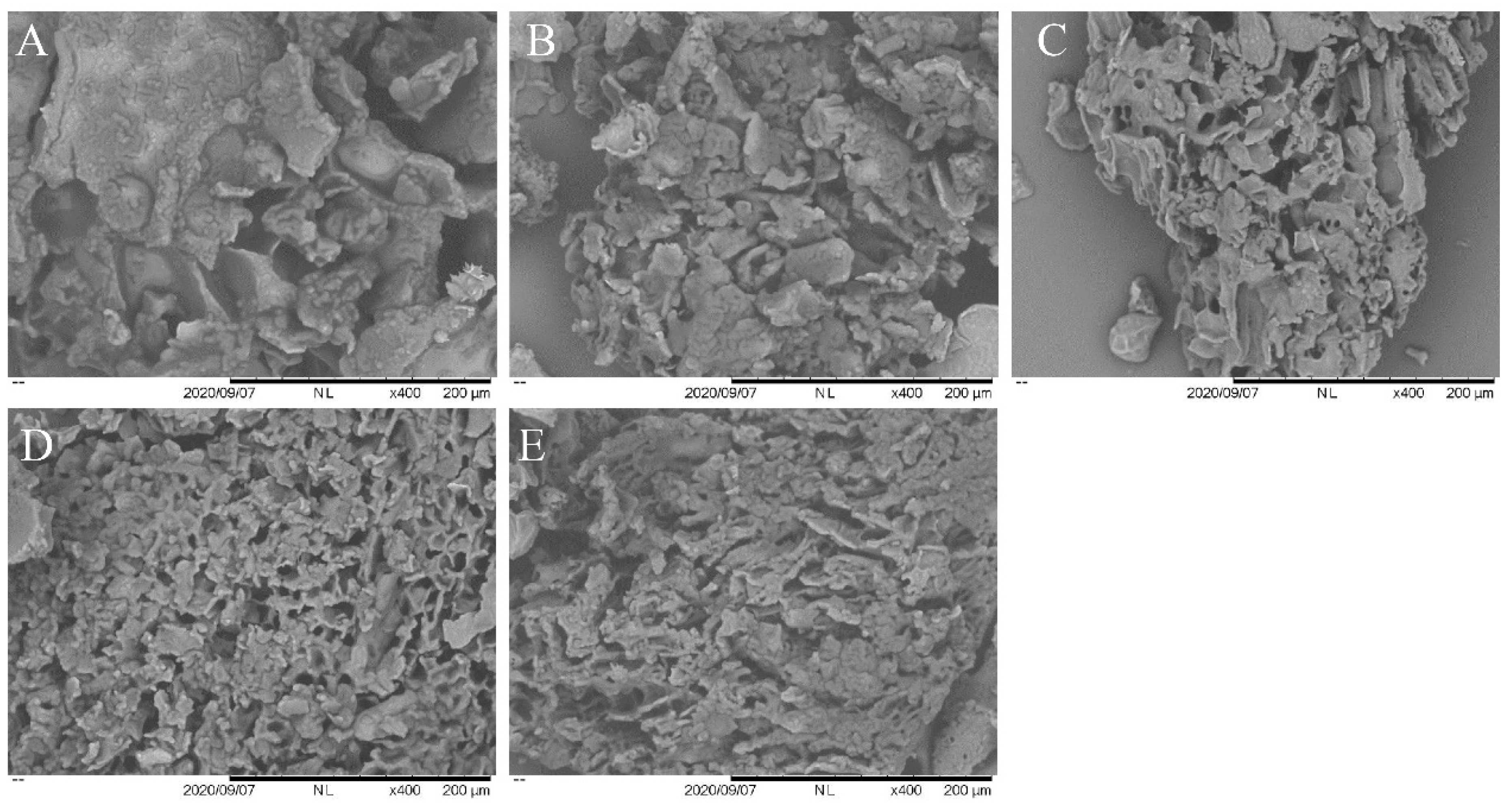 Molecules 28 00124 g006 550