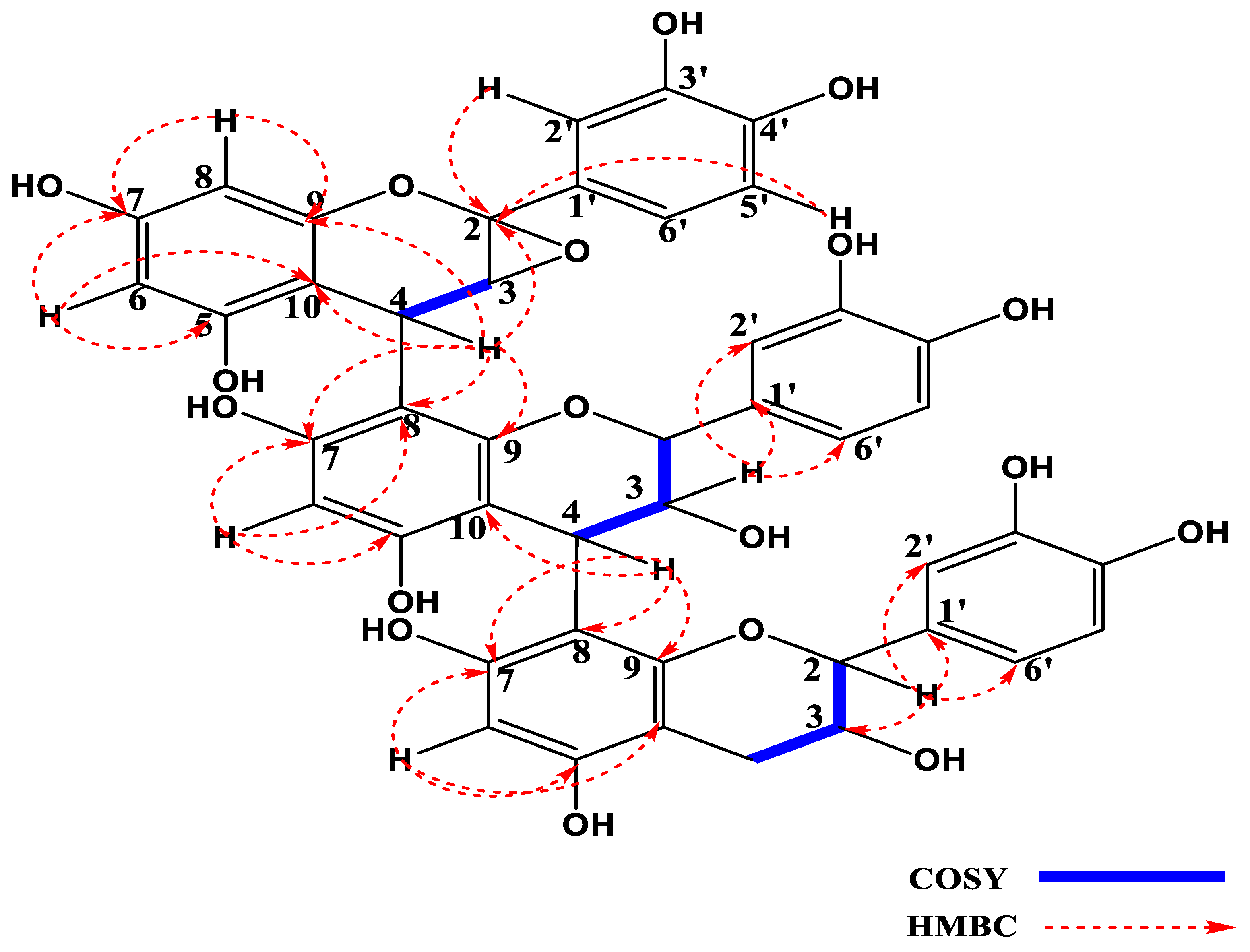 Molecules 28 00126 g001 Molecules 28 00126 g001