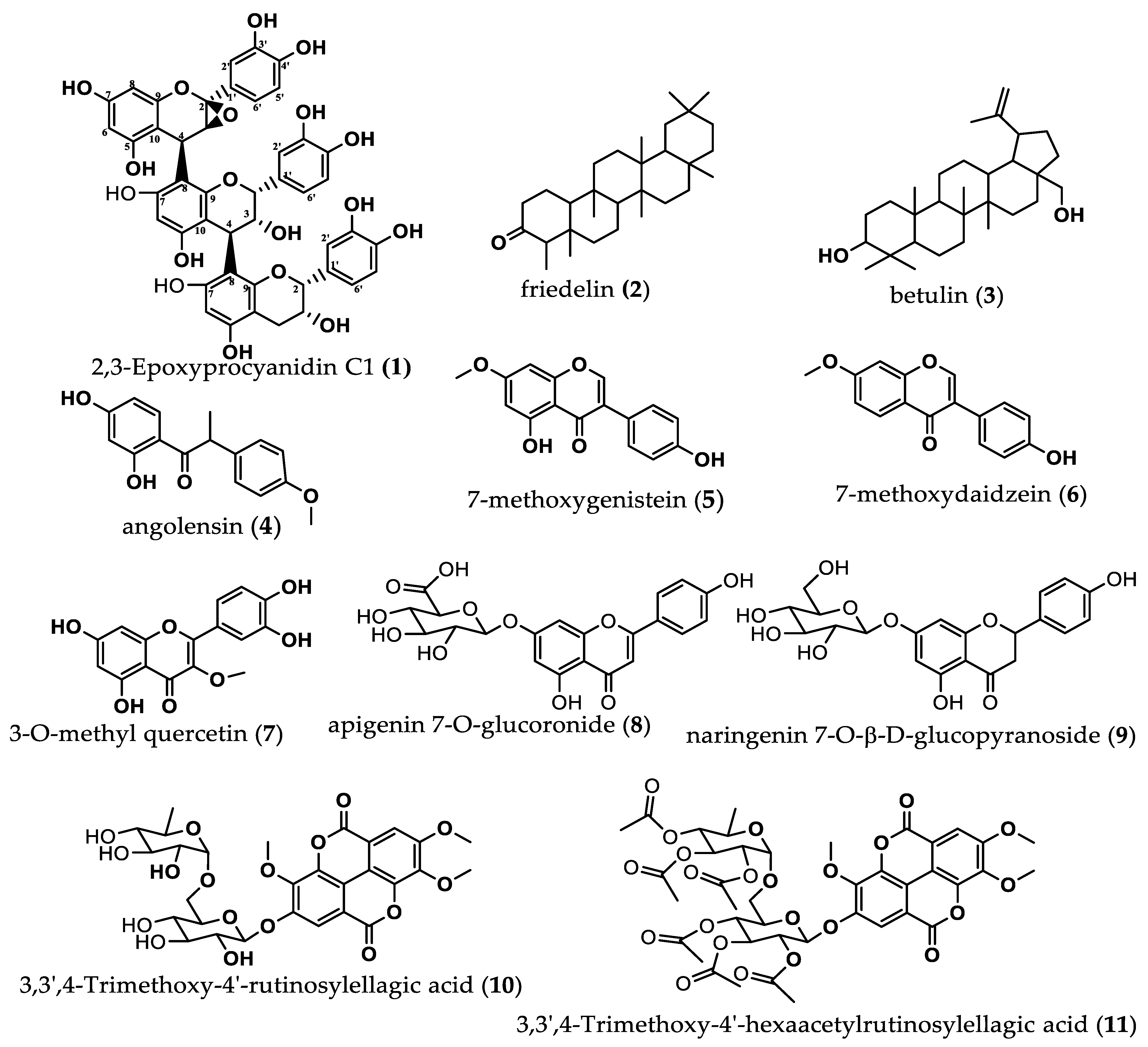 Molecules 28 00126 g002 Molecules 28 00126 g002