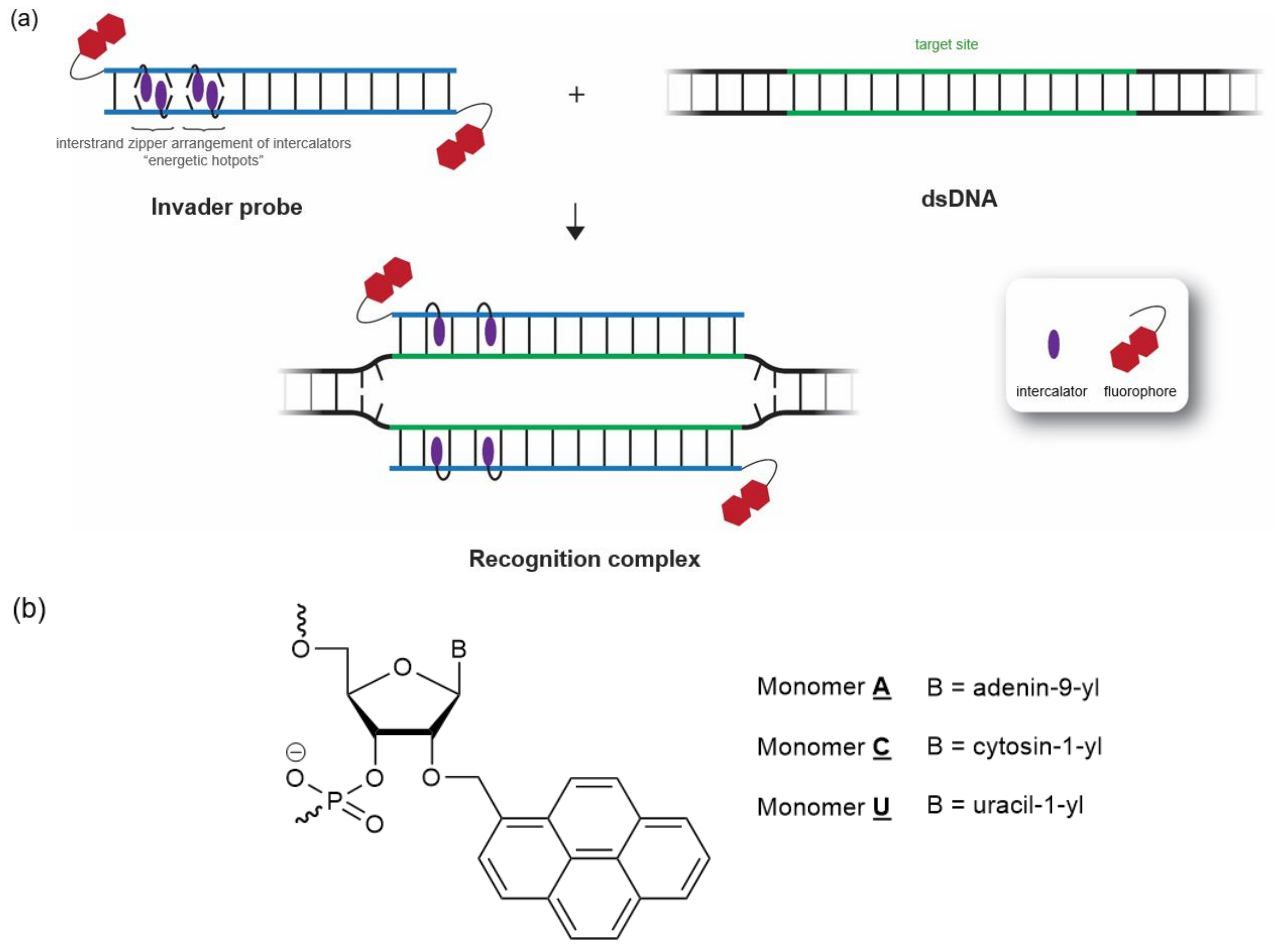 Molecules 28 00127 g001