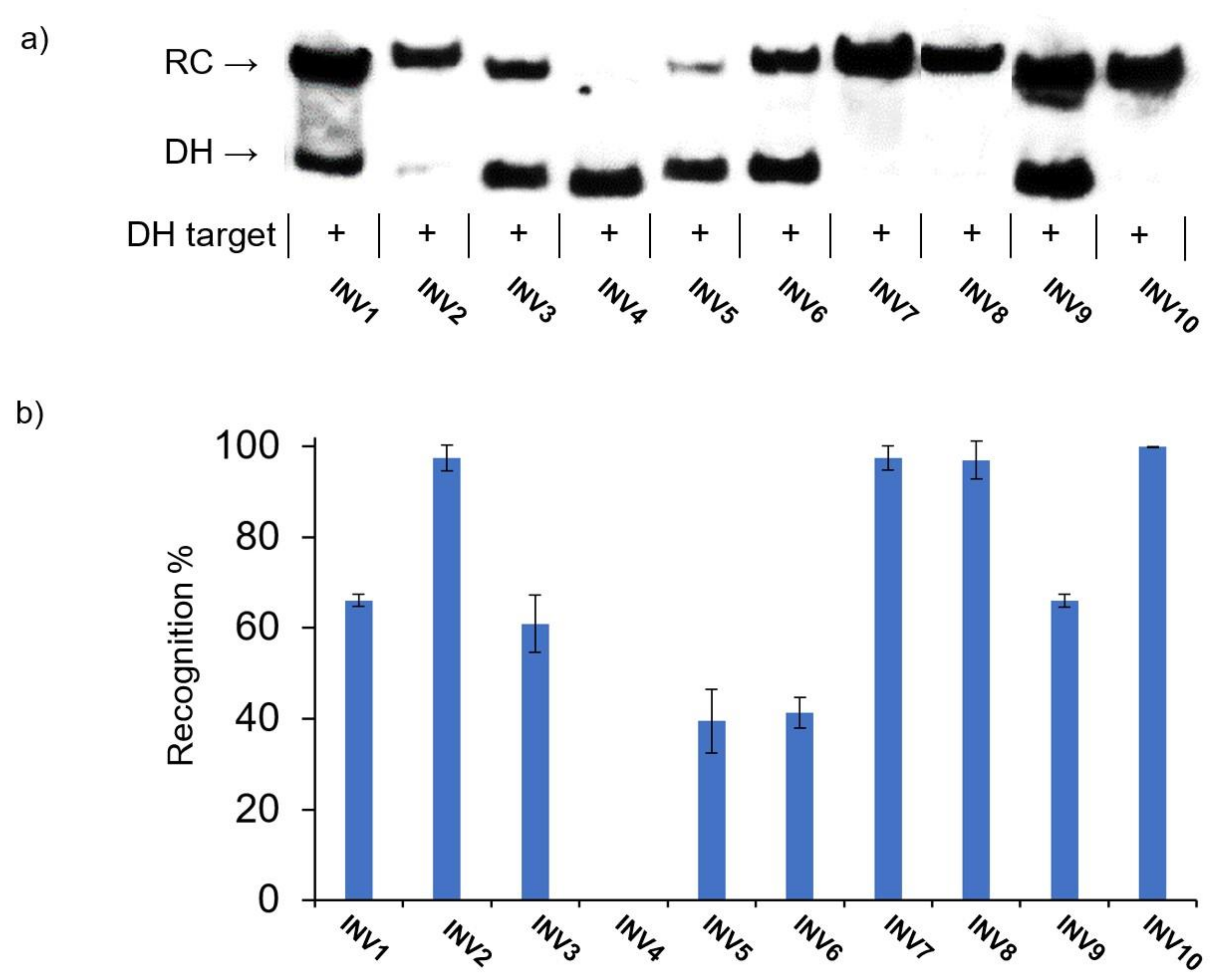 Molecules 28 00127 g003