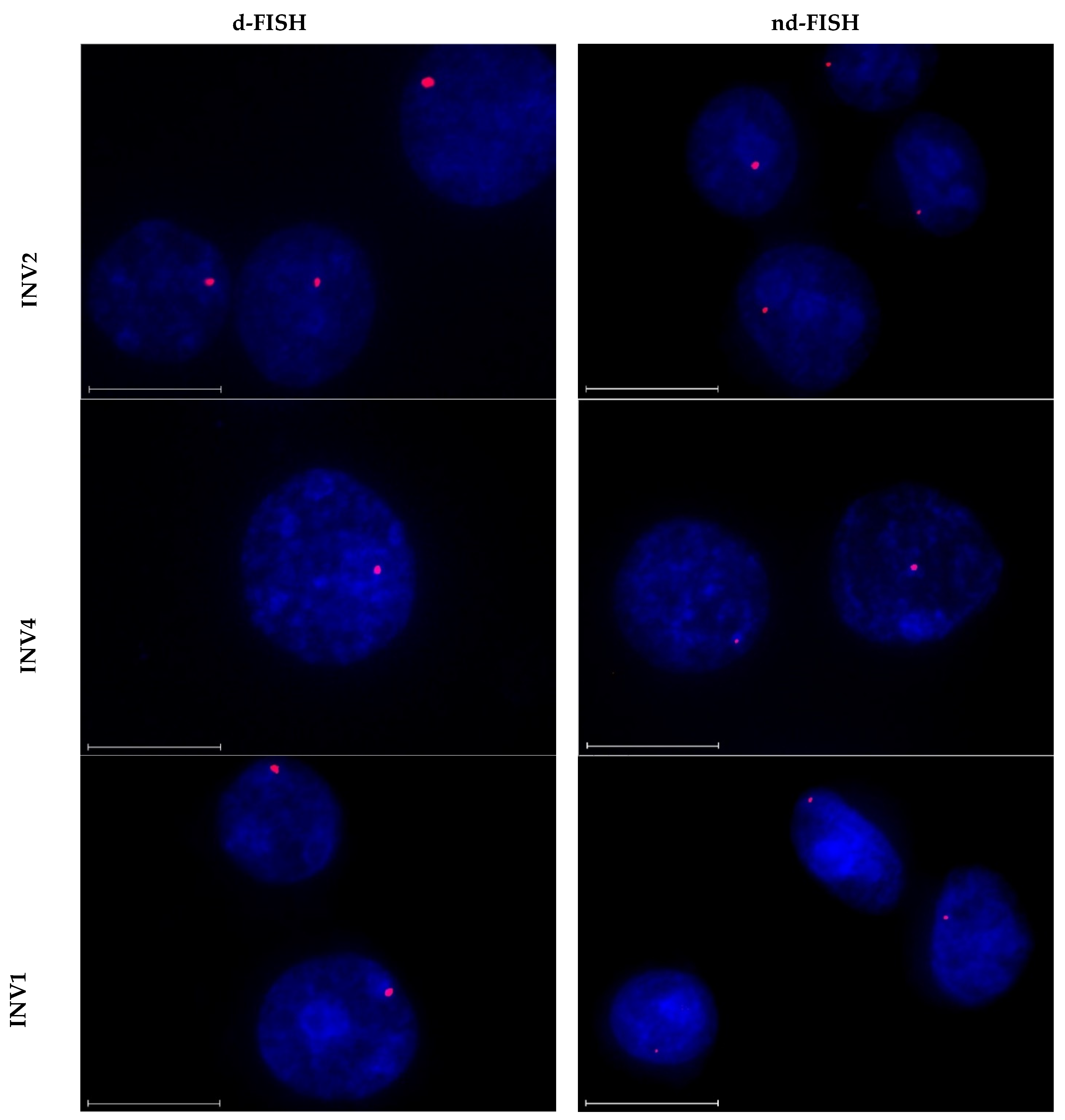 Molecules 28 00127 g006