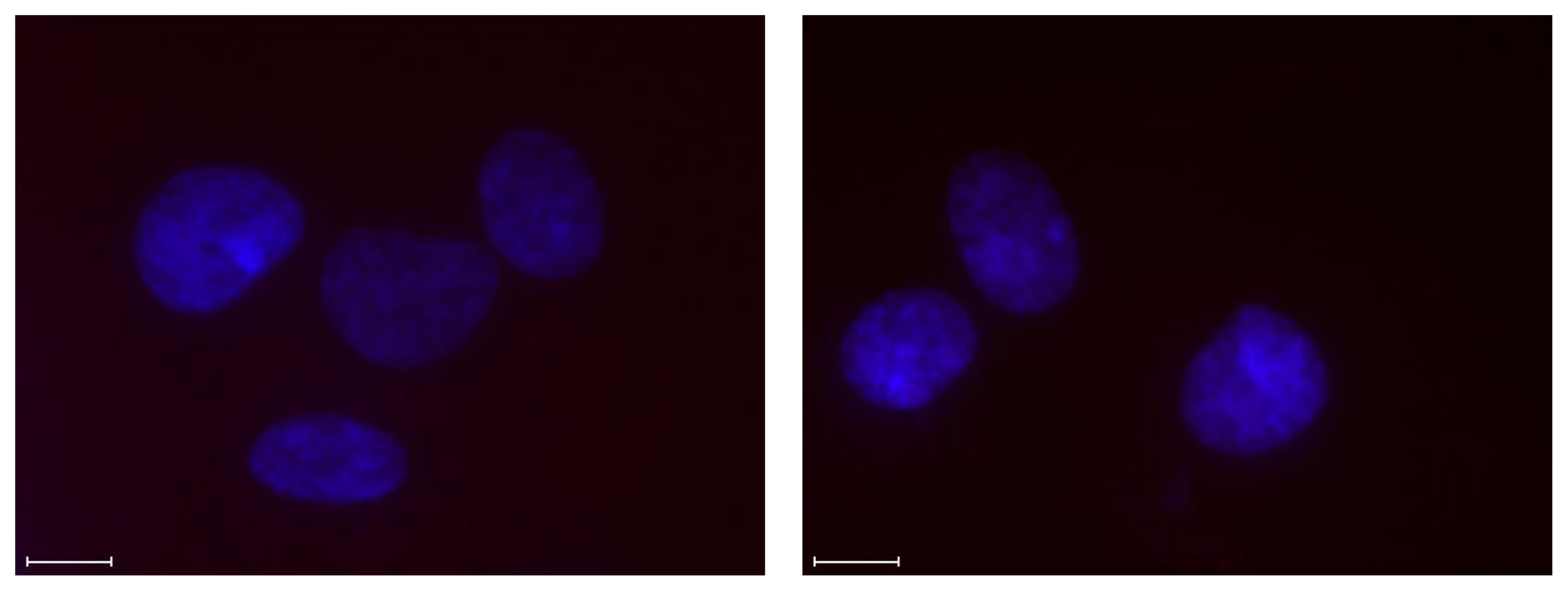 Molecules 28 00127 g007