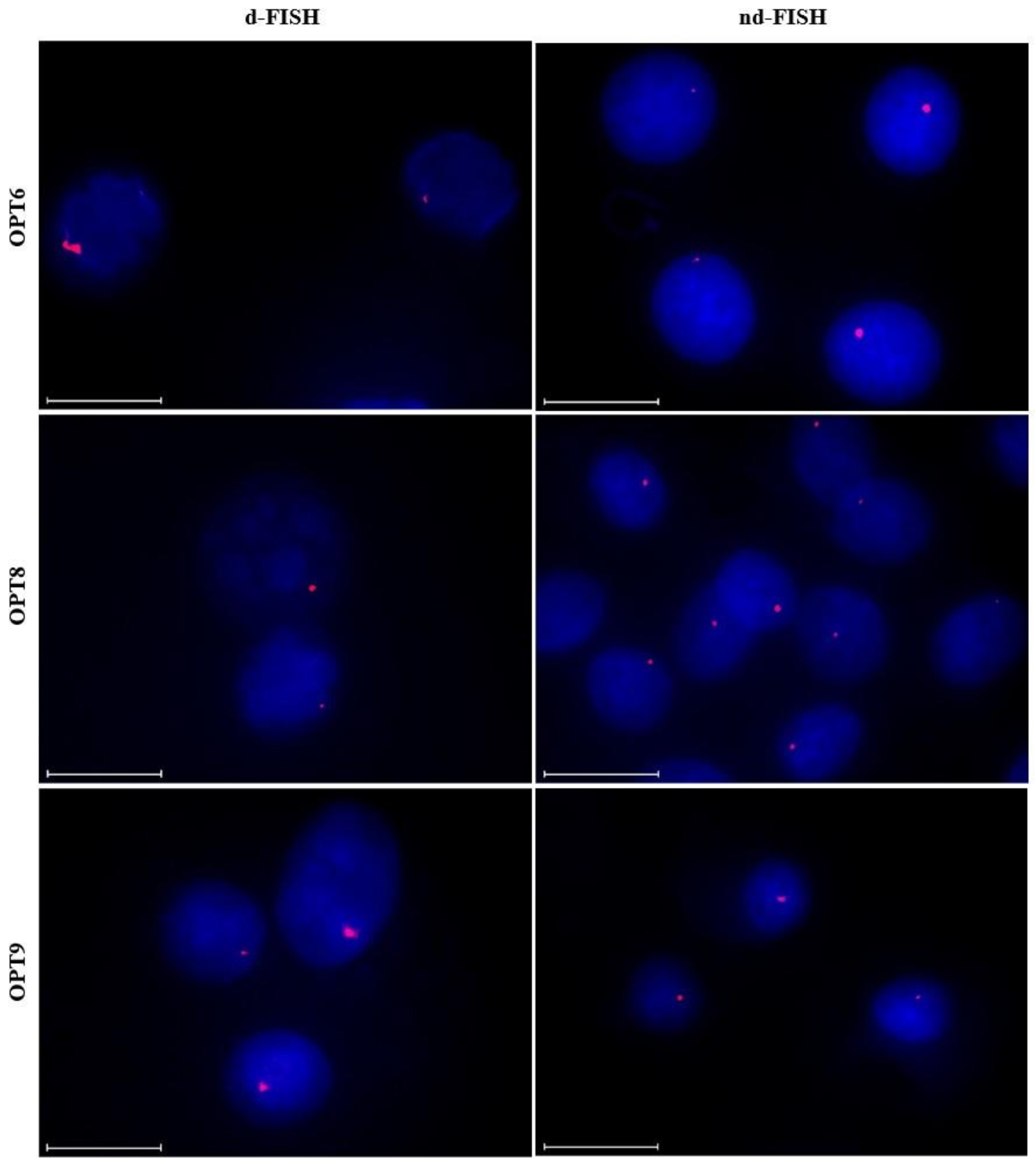 Molecules 28 00127 g009