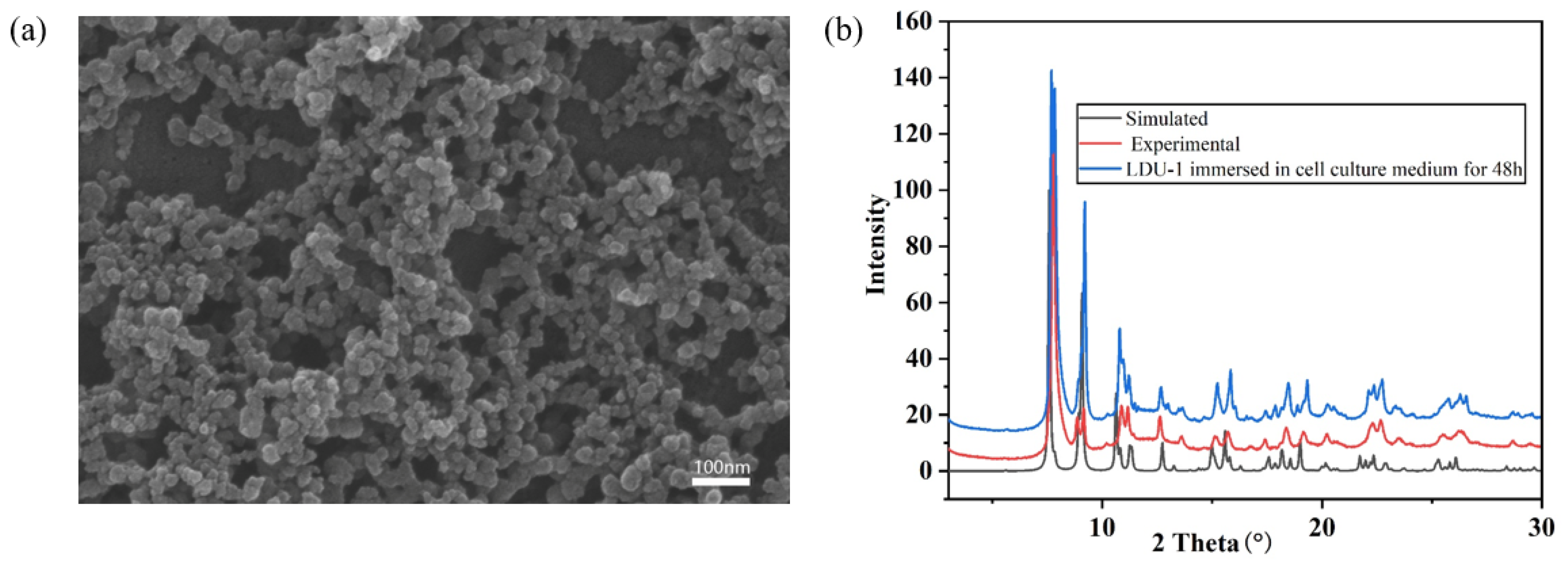Molecules 28 00129 g003 Molecules 28 00129 g003