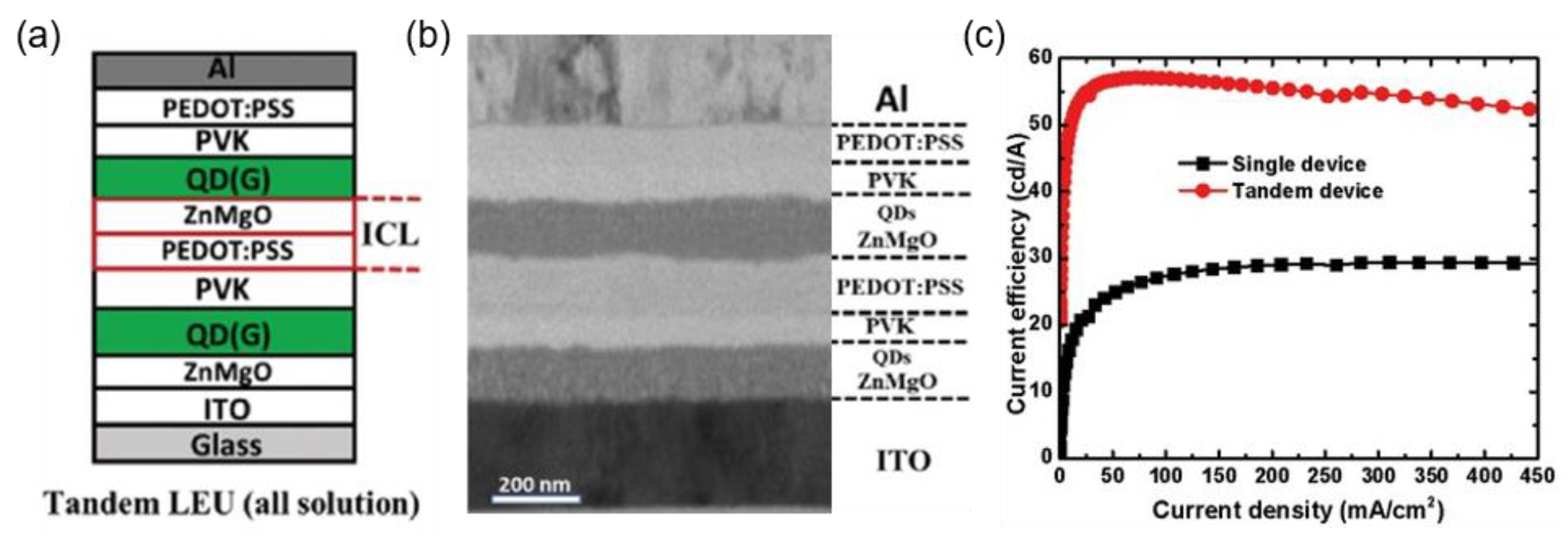Molecules 28 00134 g011 Molecules 28 00134 g011