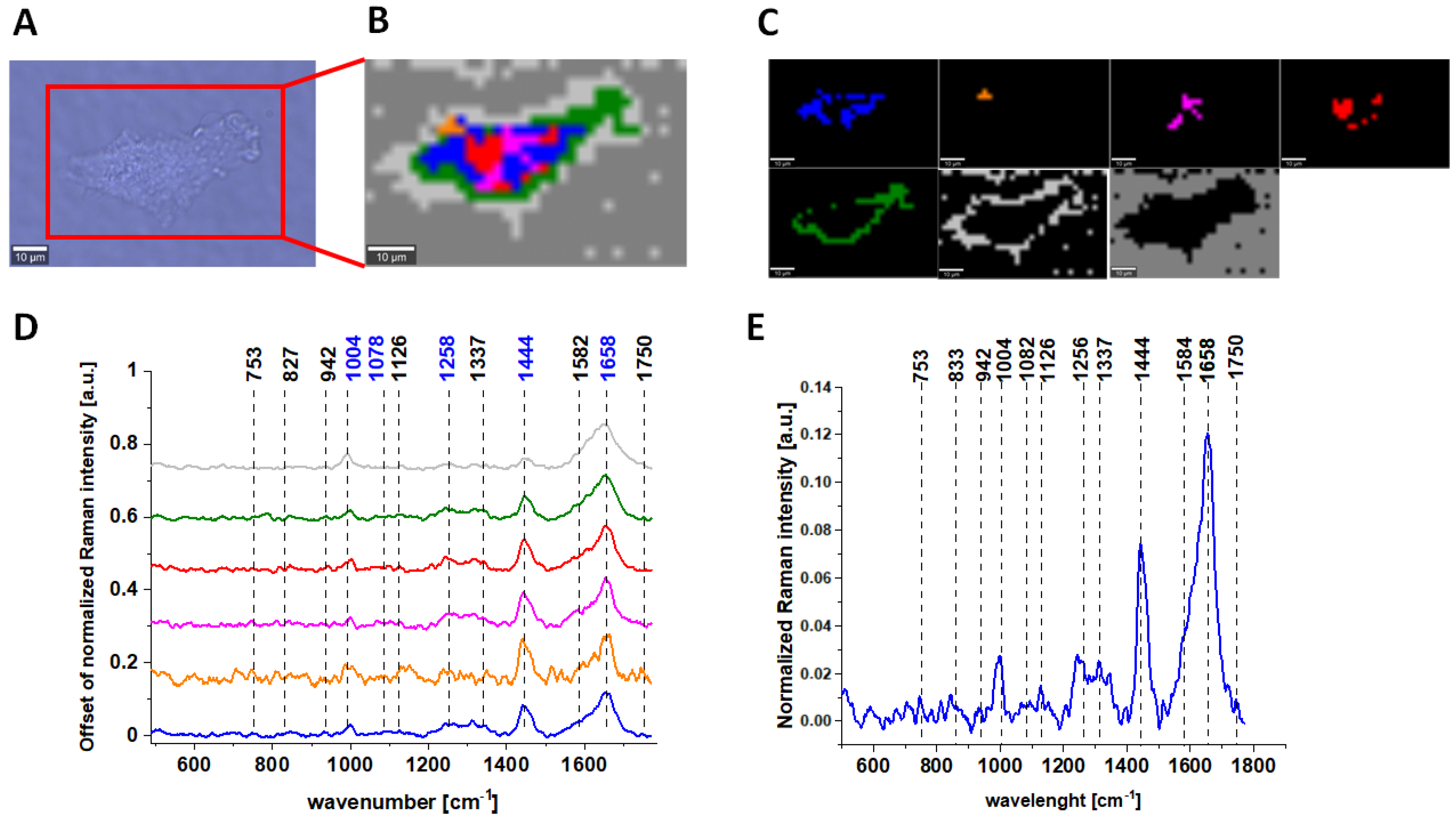 Molecules 28 00137 g002