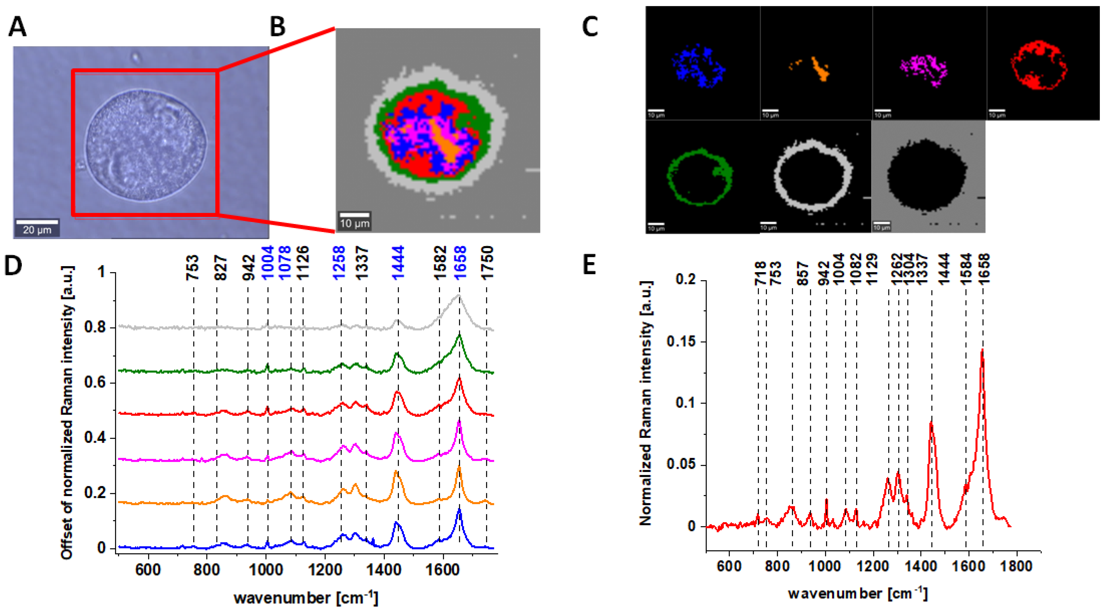 Molecules 28 00137 g003